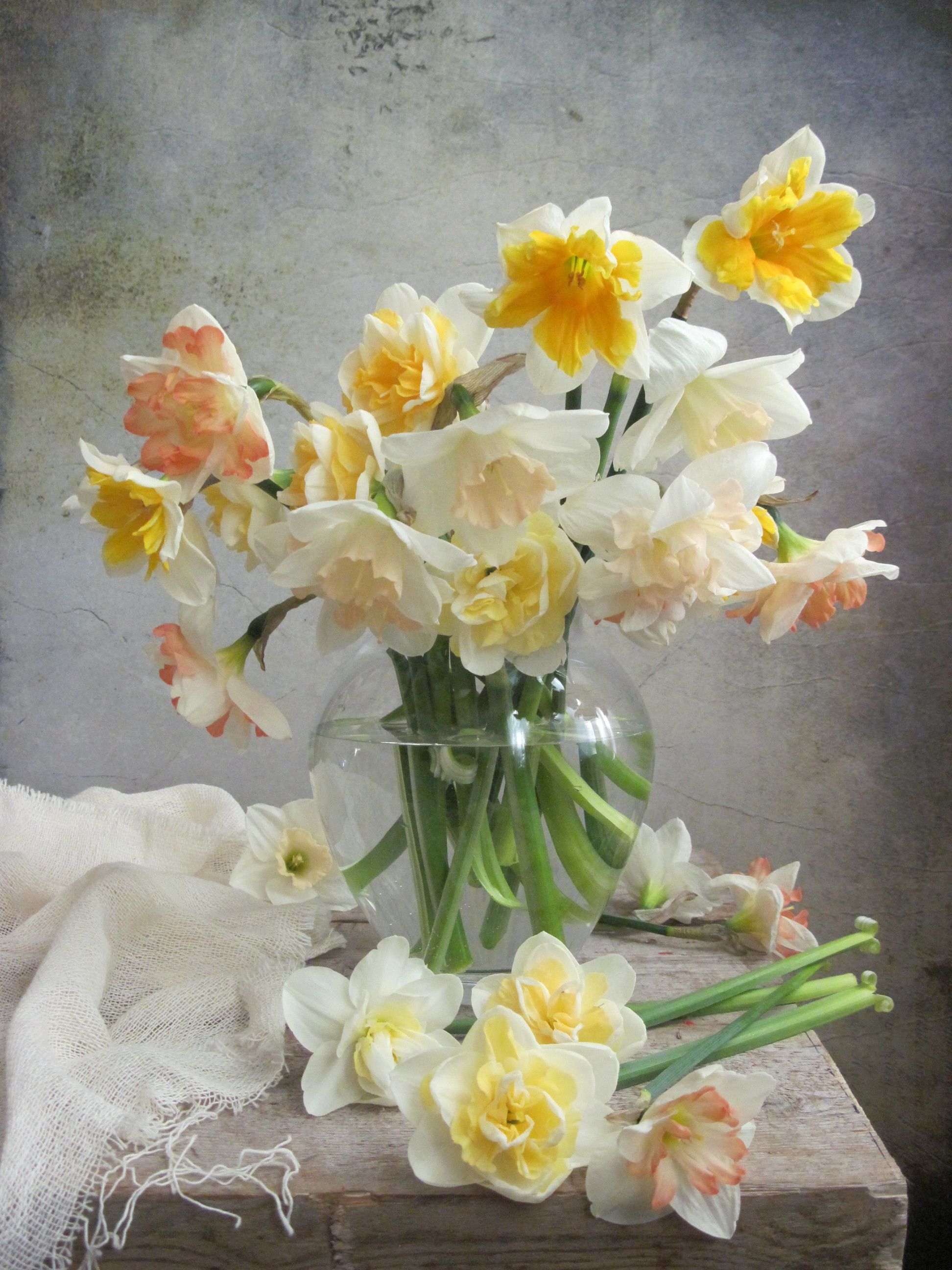цветы, букет, нарциссы,, Наталия Тихомирова