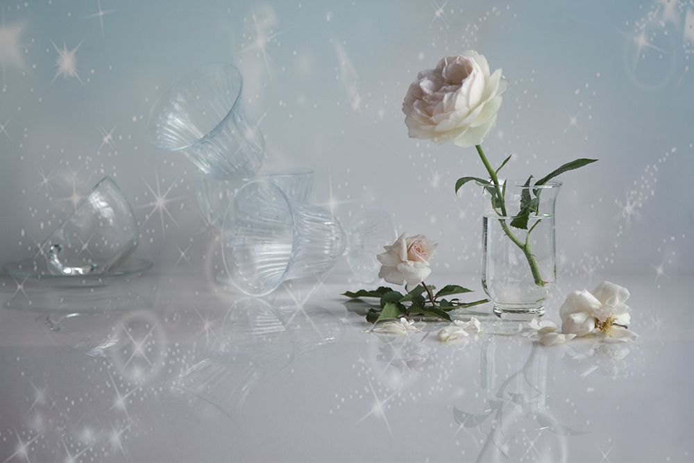 розы, Татьяна Назмутдинова