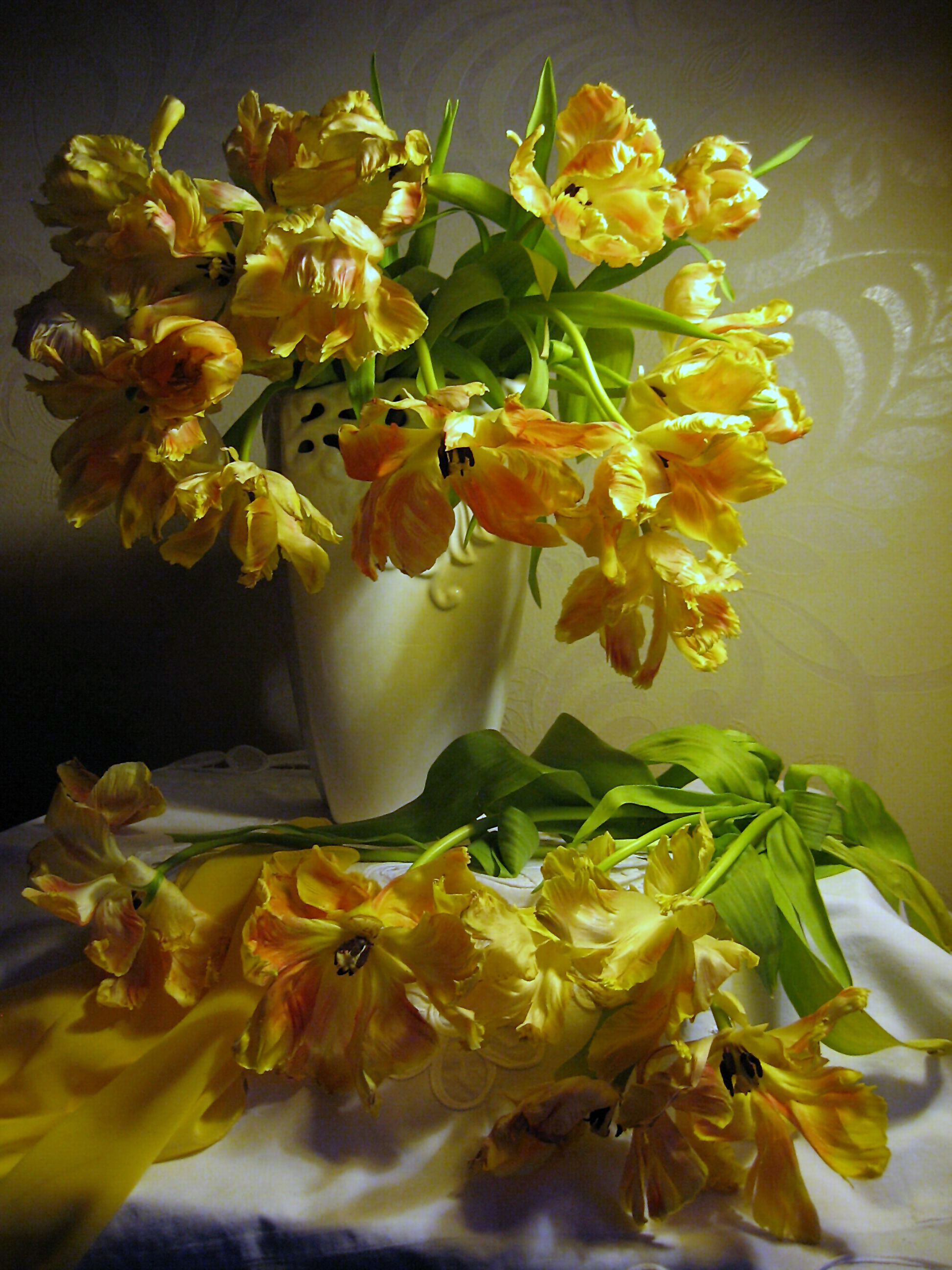 цветы, букет, тюльпаны, желтый цвет, Наталия Тихомирова