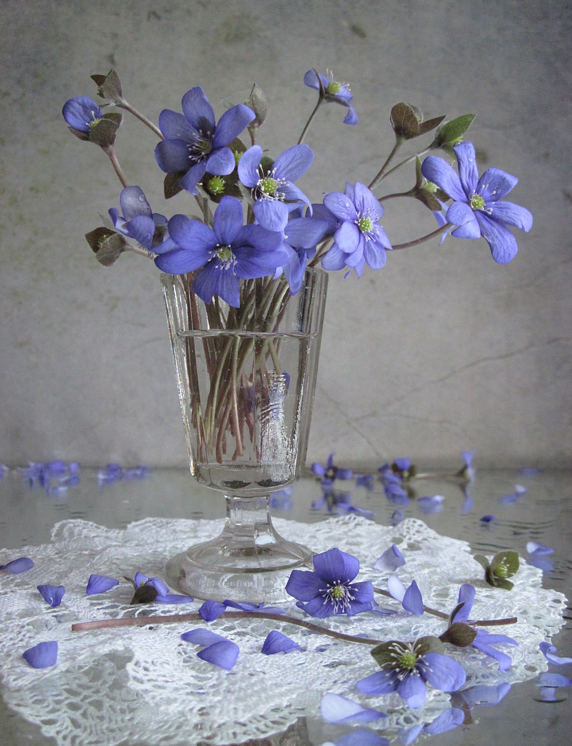 цветы, букет, фиалки, рюмка, винтаж, Наталия Тихомирова