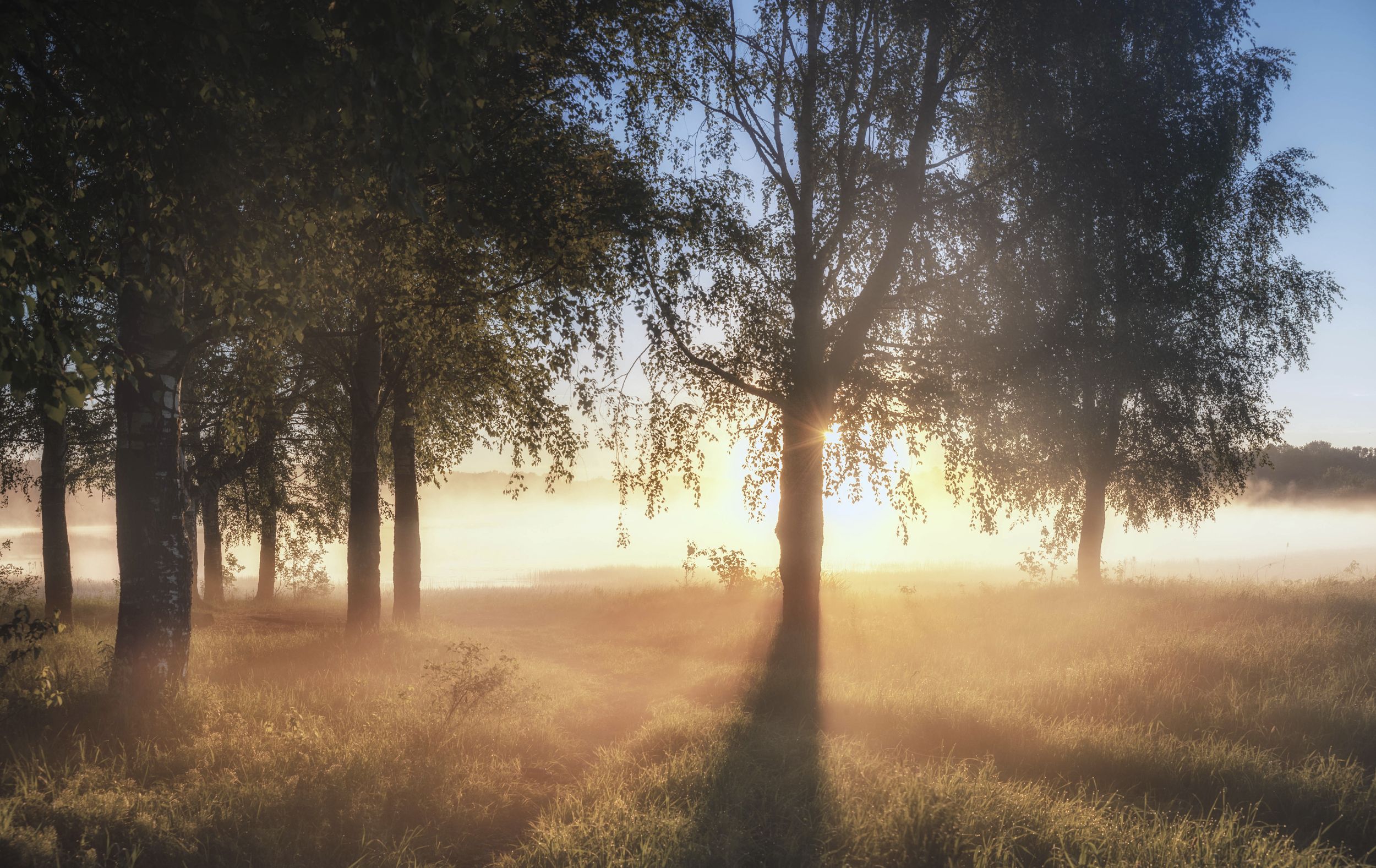  туман, рассвет, природа, пейзаж, Андрей Малыгин