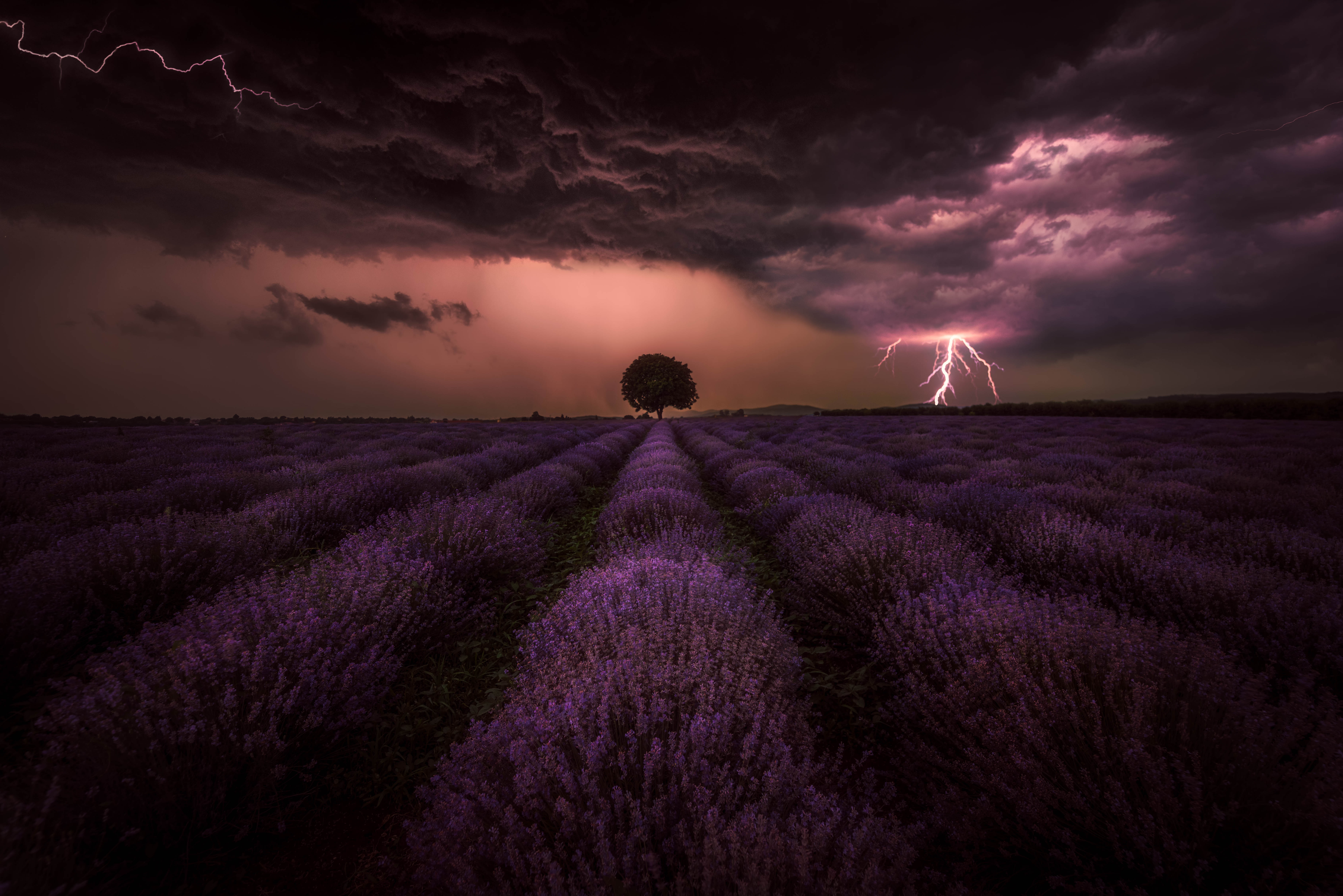 #landscape#nature#thunderstorm#lavenders, Dimo Hristev