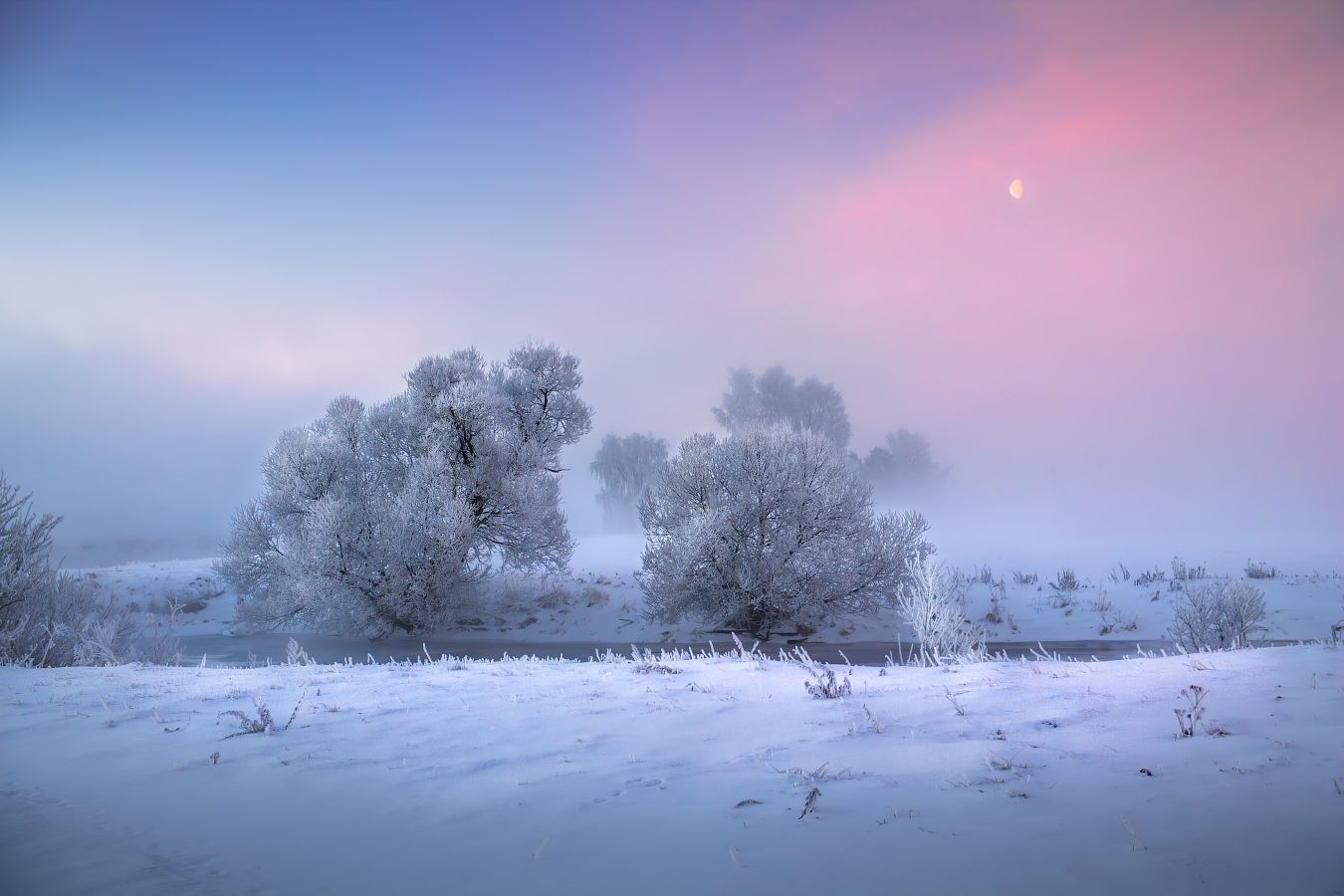 рассвет, зима, туман, иней,, Сергей Шабуневич