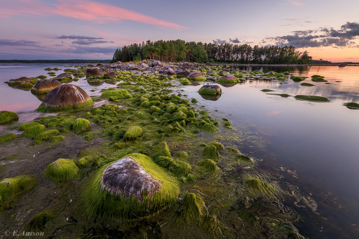 пейзаж,  природа,  море,  эстония, Elvis Antson