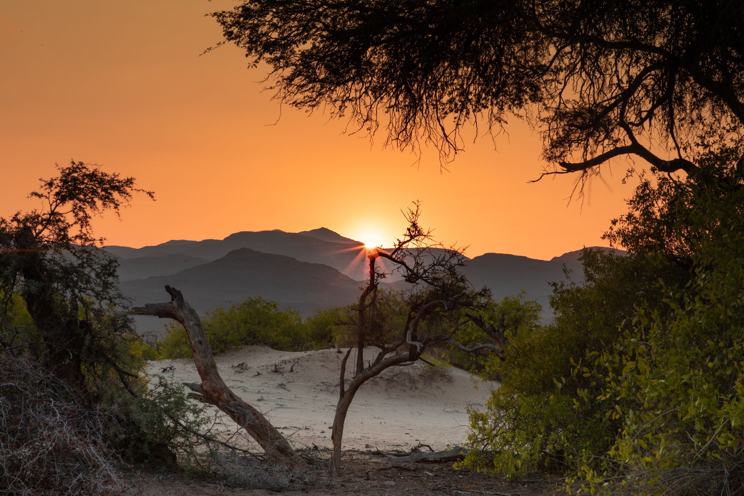 namibia, desert, sun, sunset, dunes, Roman Bevzenko