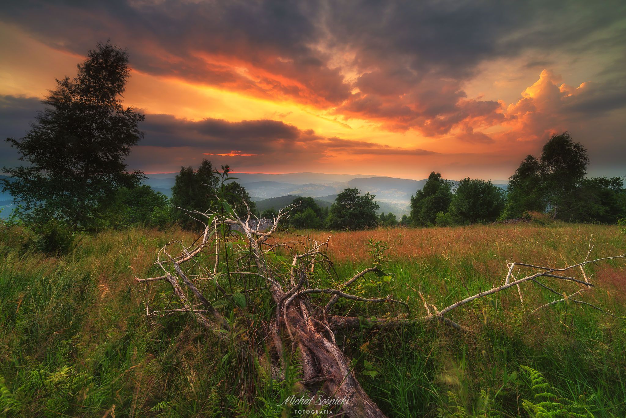 #sunset #poland #zawoja #nature #pics #photo #pentax #tree, Michał Sośnicki