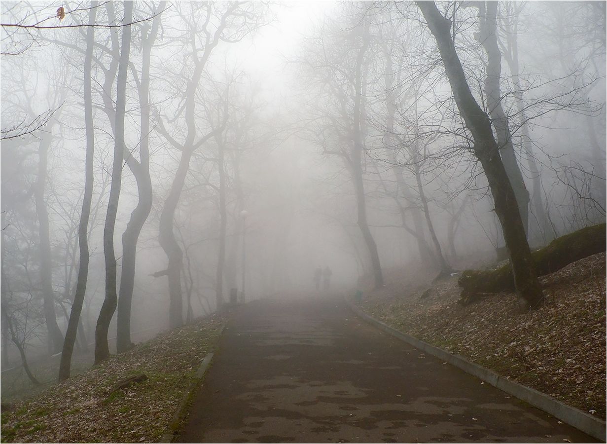 туман, КарОл