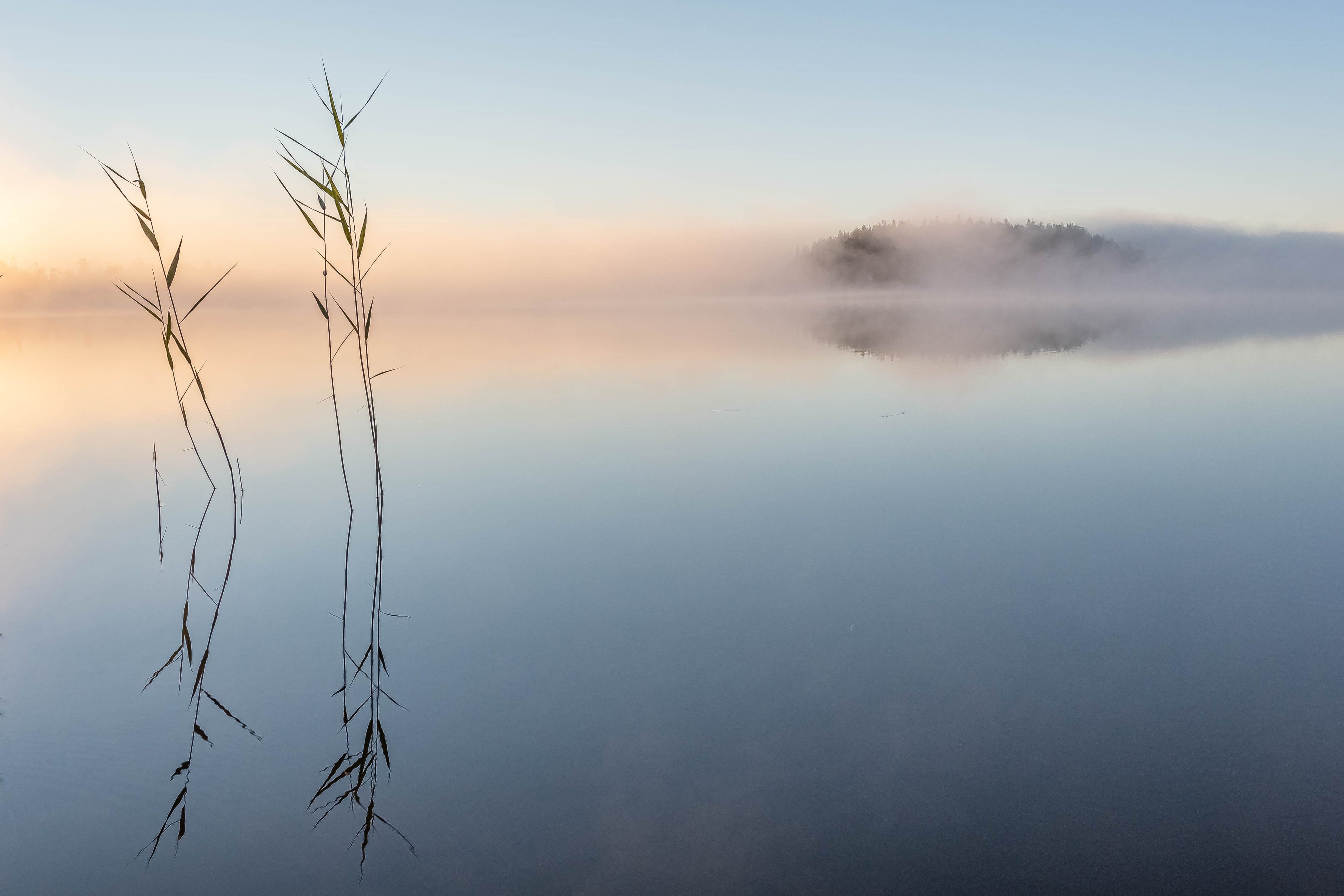 Пейзаж,озеро, туманное утро, Карелия, Sergey Kaverin