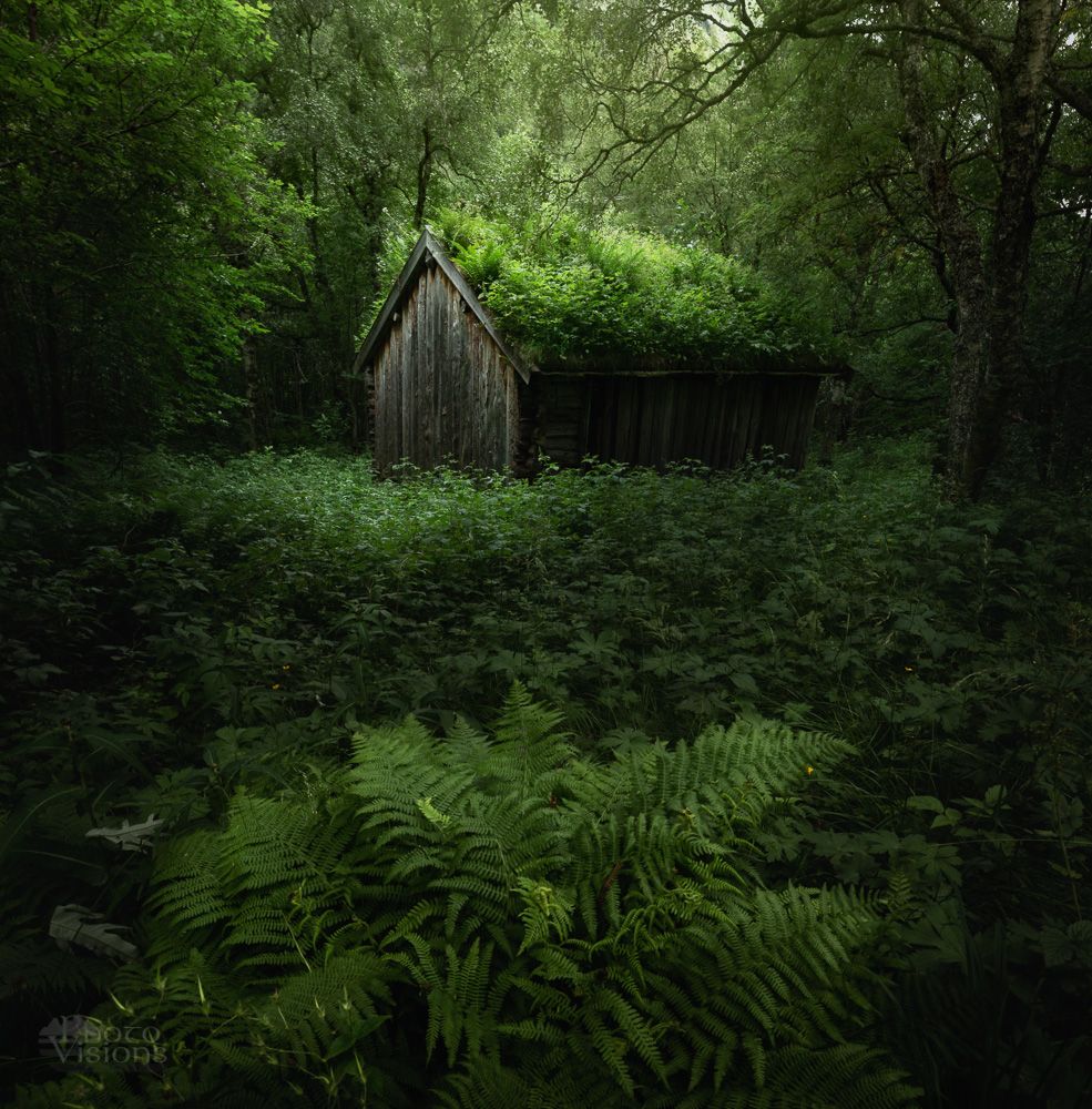 forest,woodlands,woods,cottage,cabin,old,abandoned,norway,norwegian,nature,green,, Adrian Szatewicz