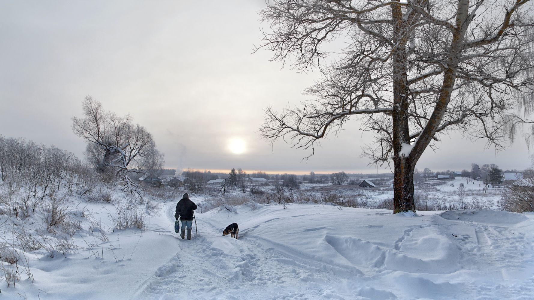 зима, деревня, мороз, снег, дерево, старик, пес, Ирина Заколдаева