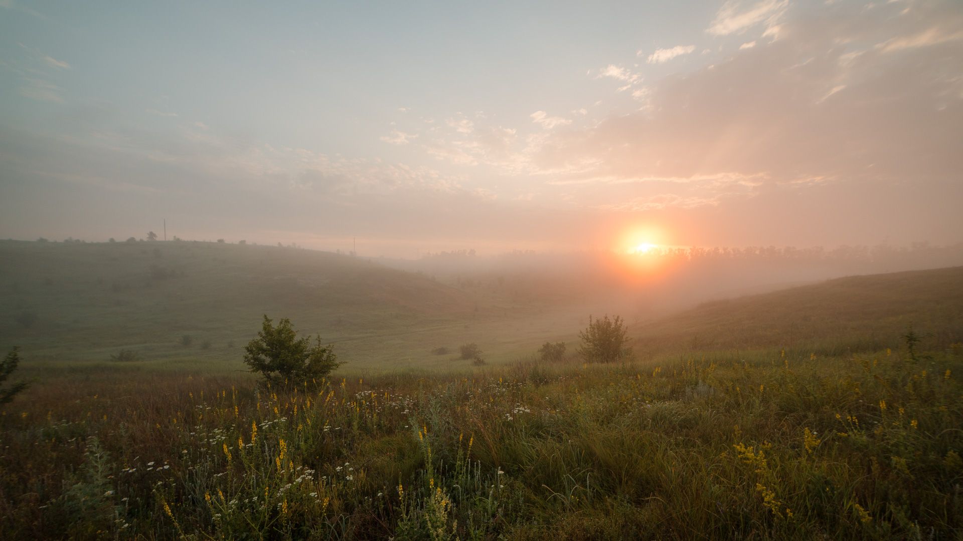 пейзаж, рассвет, лето, landscape, туман, степь, fog, Алексей Юденков