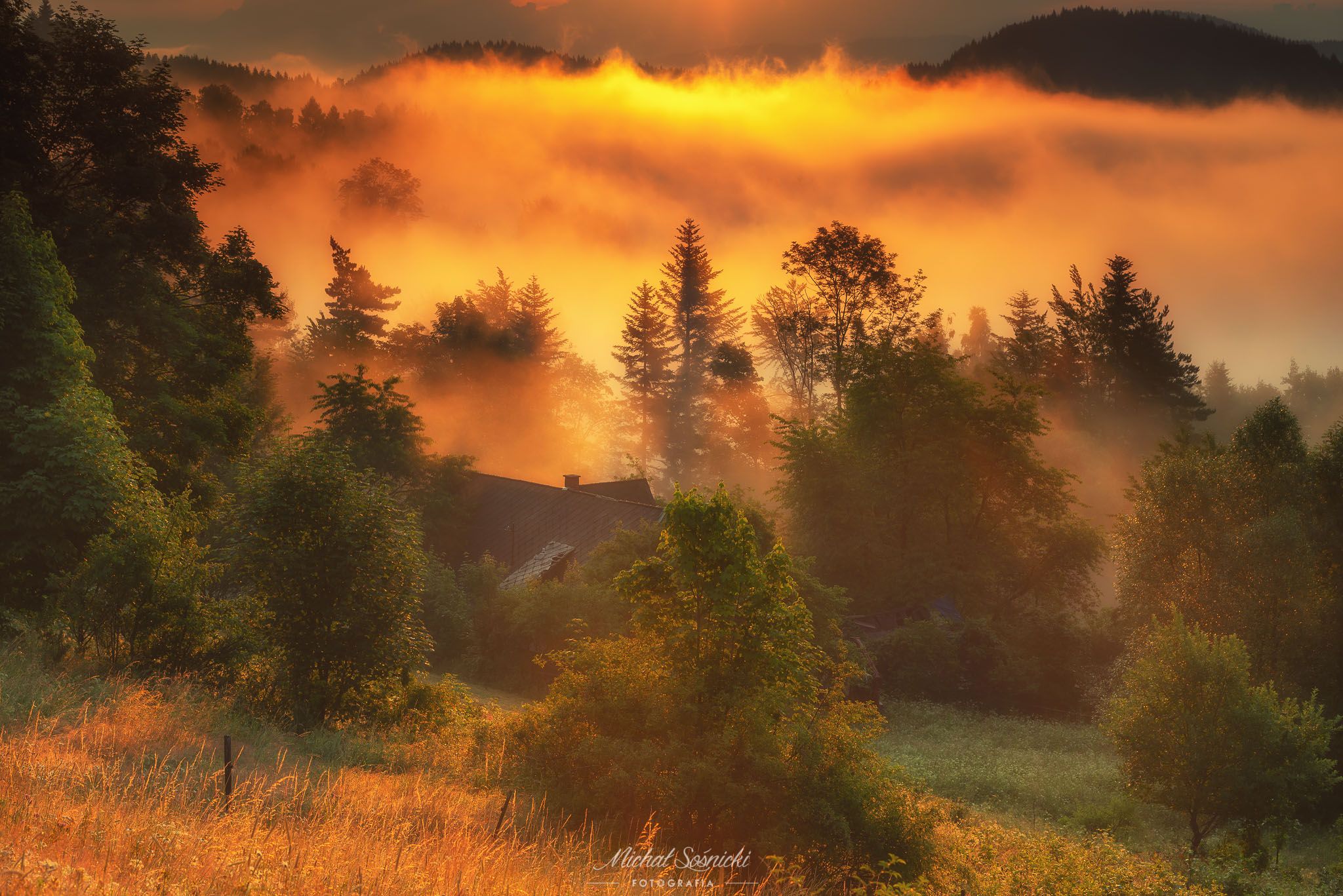 #today #morning #foggy #sunrise #trees #nature #sun #amazing #magic #pentax #benro, Michał Sośnicki