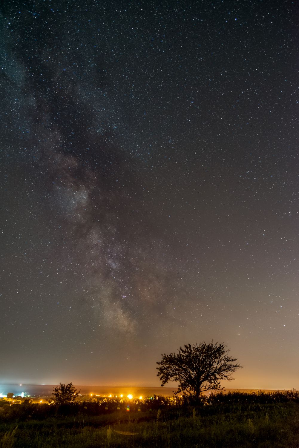 milky way, млечный путь, бекарюковский бор, bekaryukovsky forest,ночь, night, Александр Литвишко