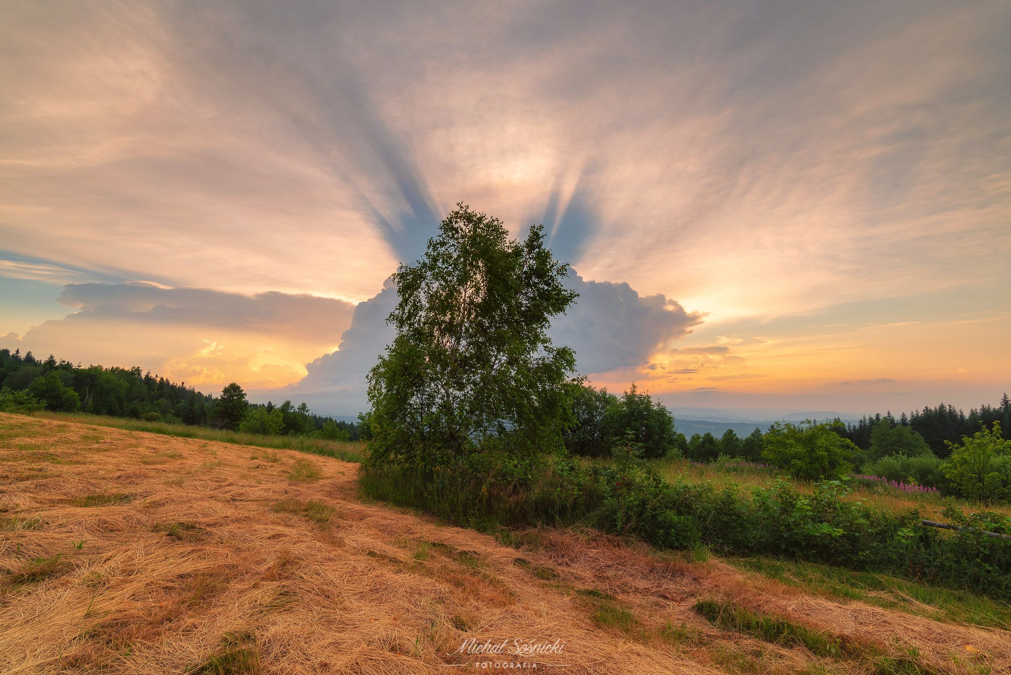 #sunset #poland #tree #best #storm #pentax #beskids #mountains #benro, Michał Sośnicki