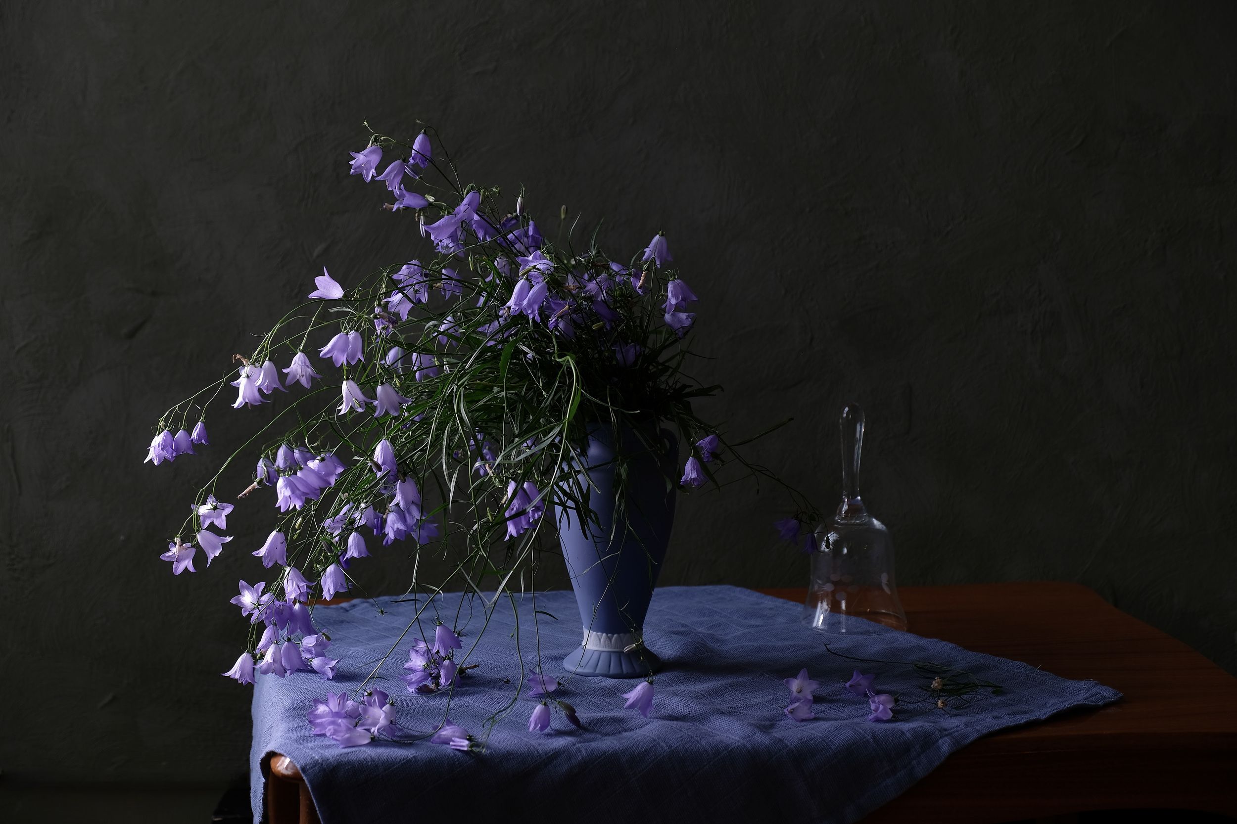 Still life, flowers, nature, blue, bellflowers, campanula, flora, колокольчики,, Svetlana Povarova Ree