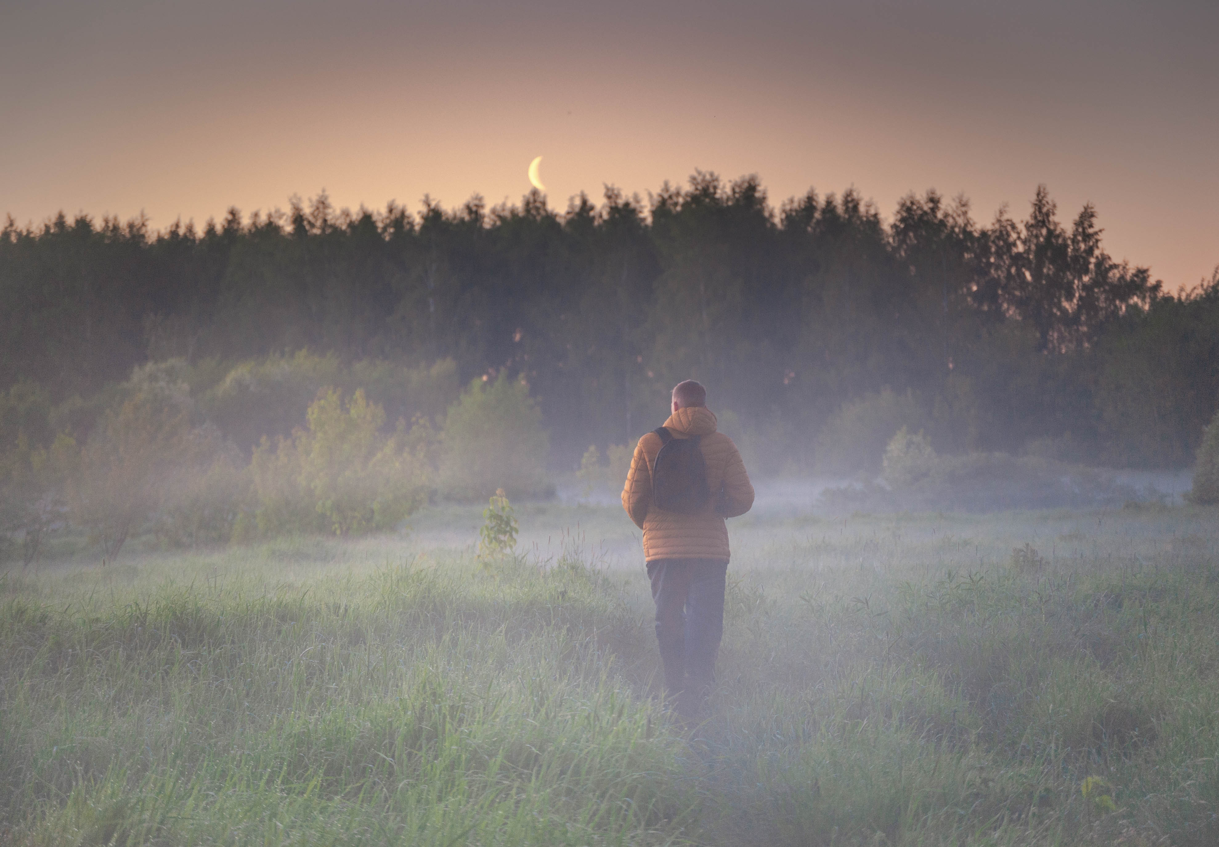 туман, рассвет, природа, пейзаж, Андрей Малыгин