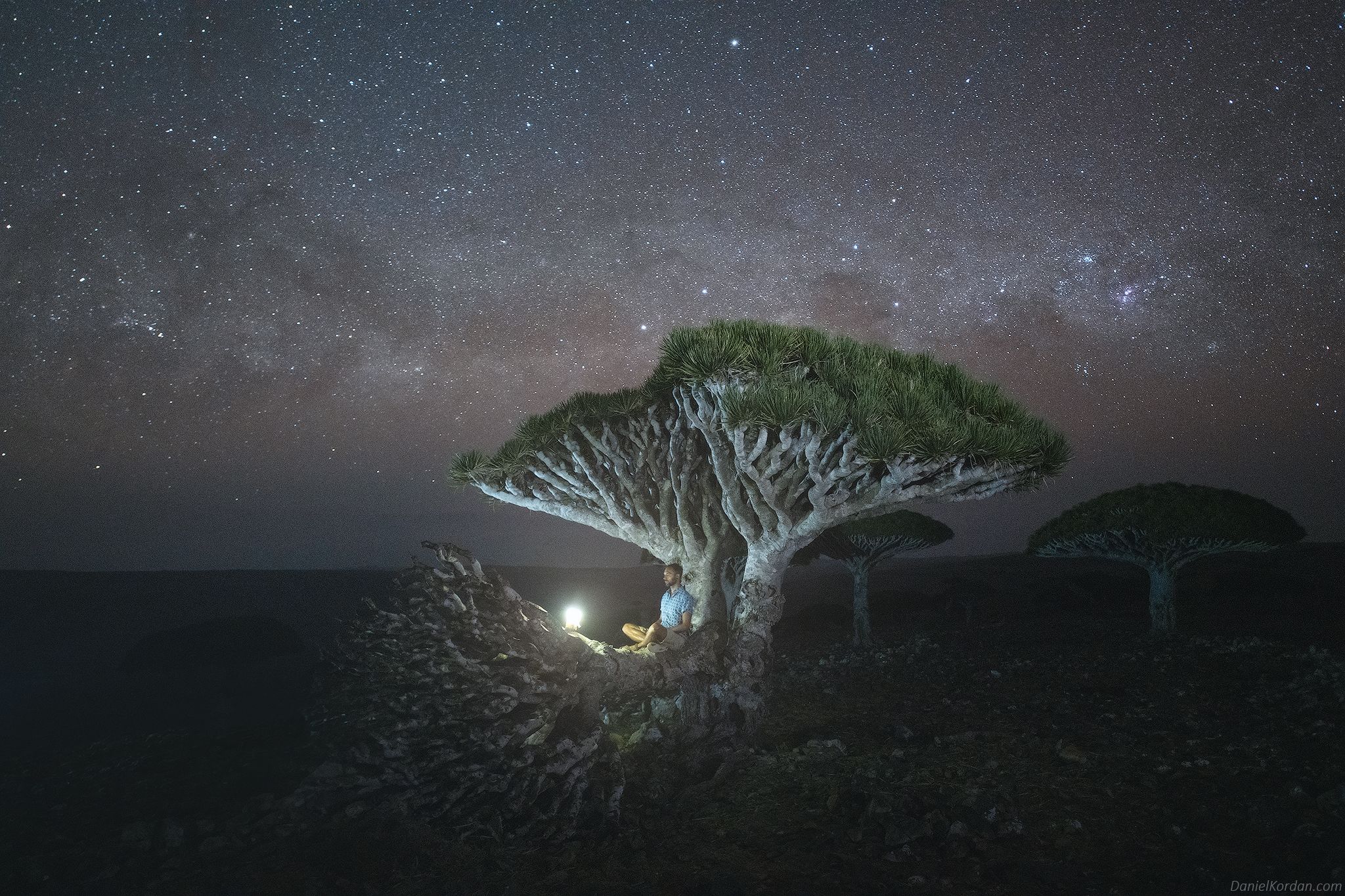 Socotra, Даниил Коржонов