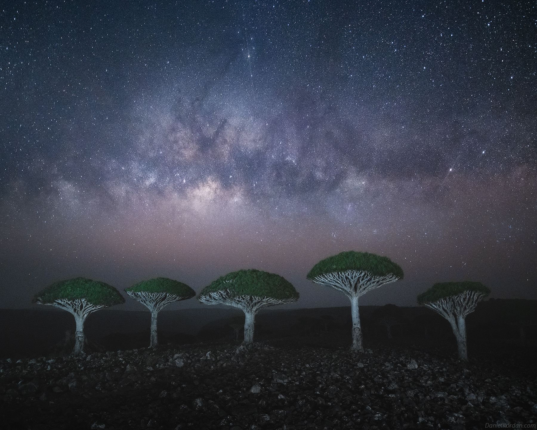 Socotra, Даниил Коржонов