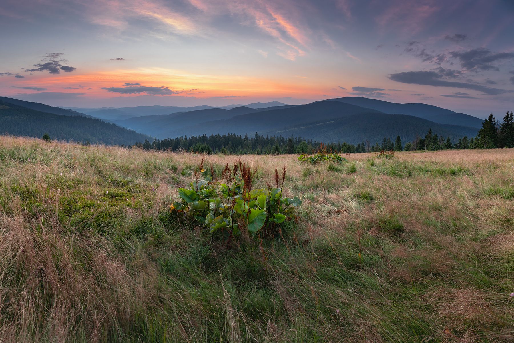 mountains, summer, poland, slovakia, sunrise, Michał Kasperczyk