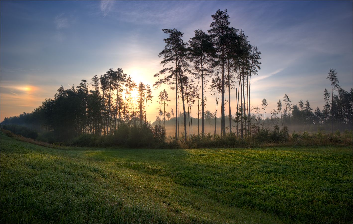лето, лес, утро, туман,, Сергей Шабуневич