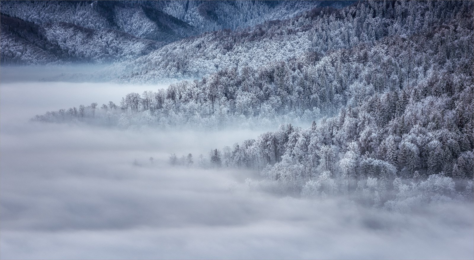 Fog, Landscape, Mountain, Ioan Chiriac