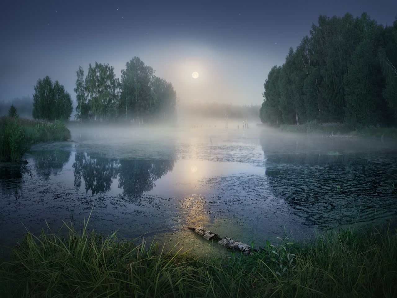 туман, луна, лето, Дмитрий Медянцев