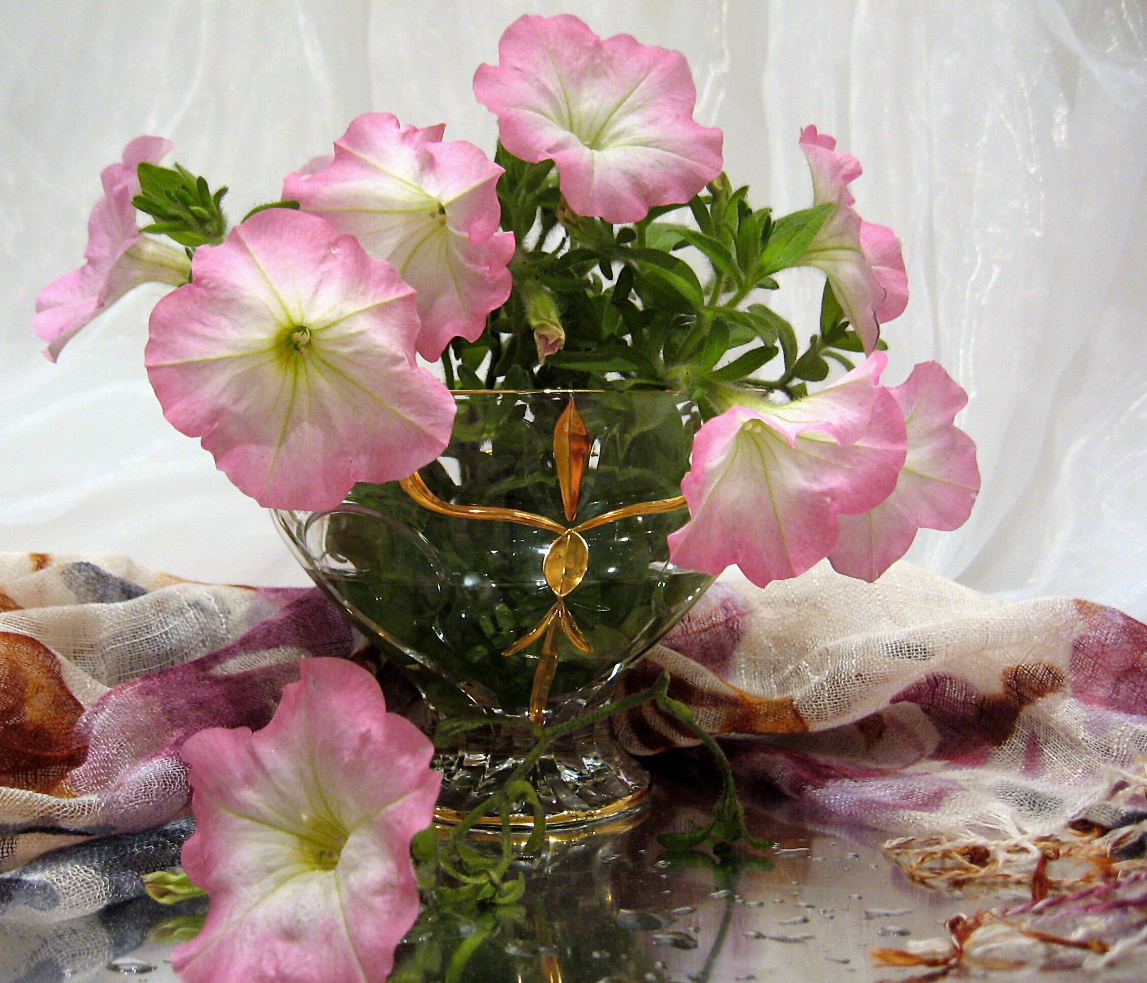 цветы, букет, петунии, ваза, хрусталь, шарф, Наталия Тихомирова