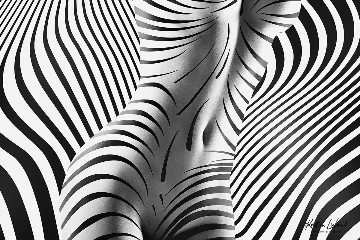zebra, zebras, blackandwhite, bodyart, body, bodyscape,model, Kristian Liebrand