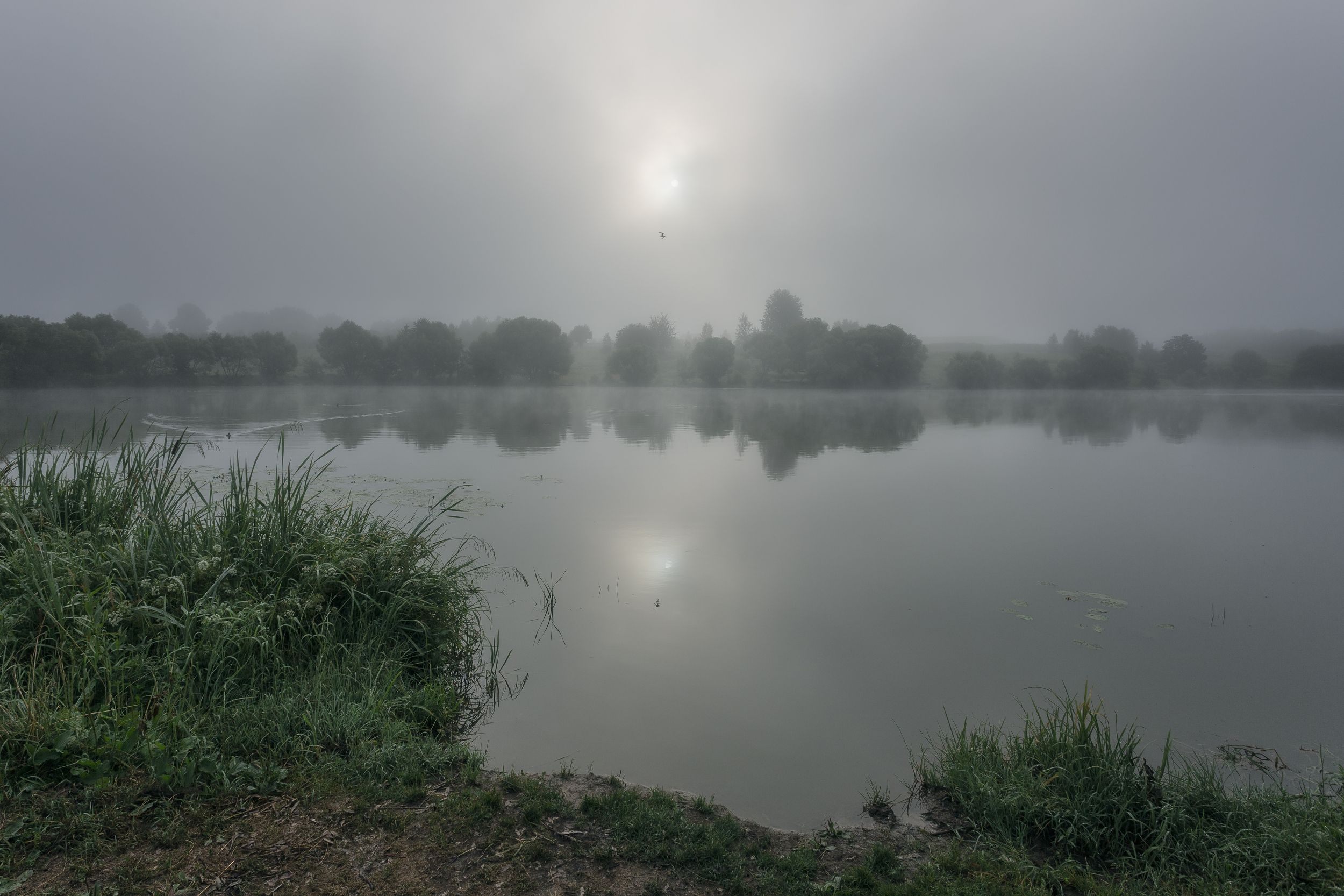 природа, туман, отражение, рассвет, пейзаж, Московская область, Мартыненко Дмитрий