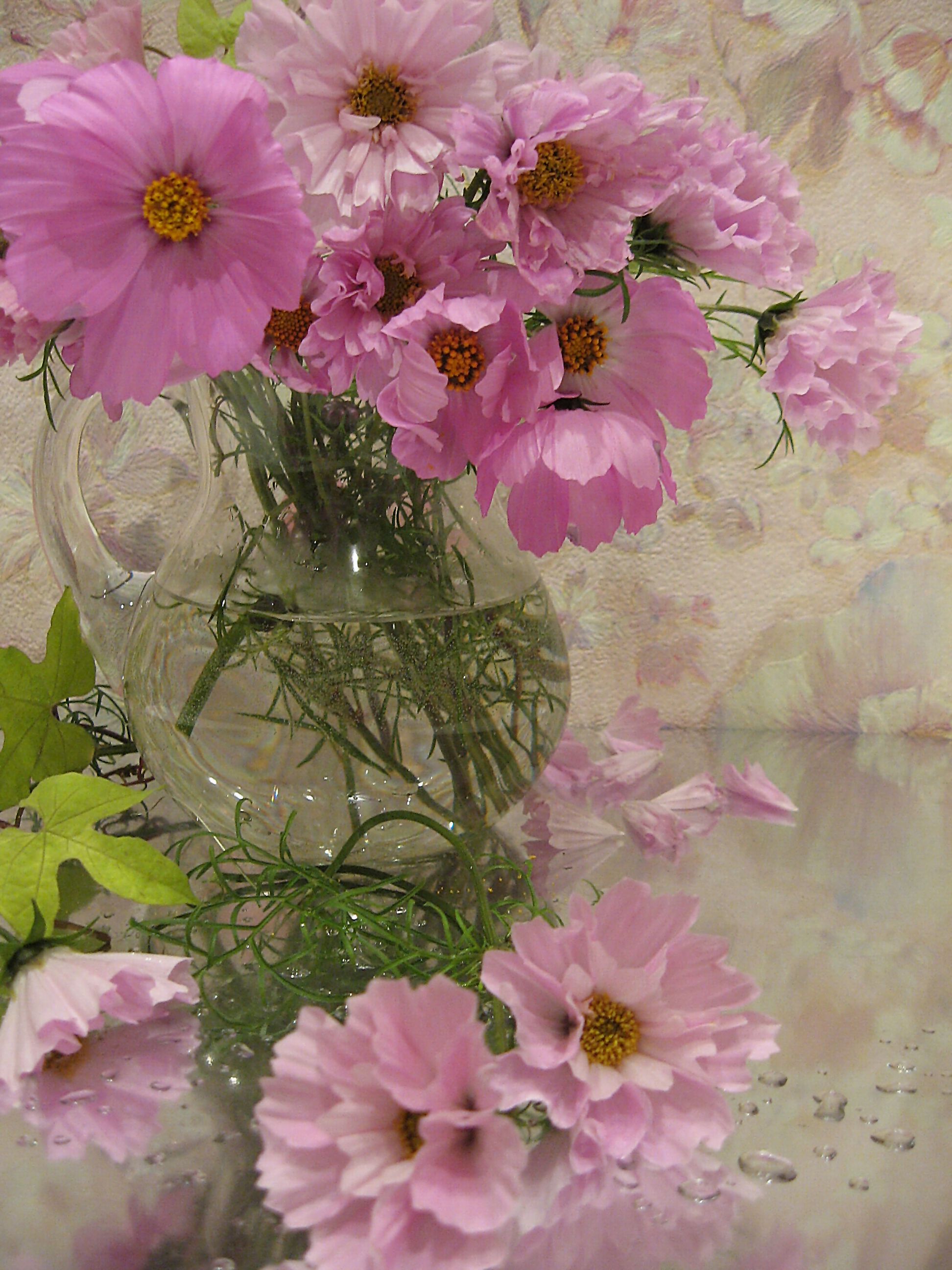 цветы, букет, космеи, розовый цвет, Наталия Тихомирова