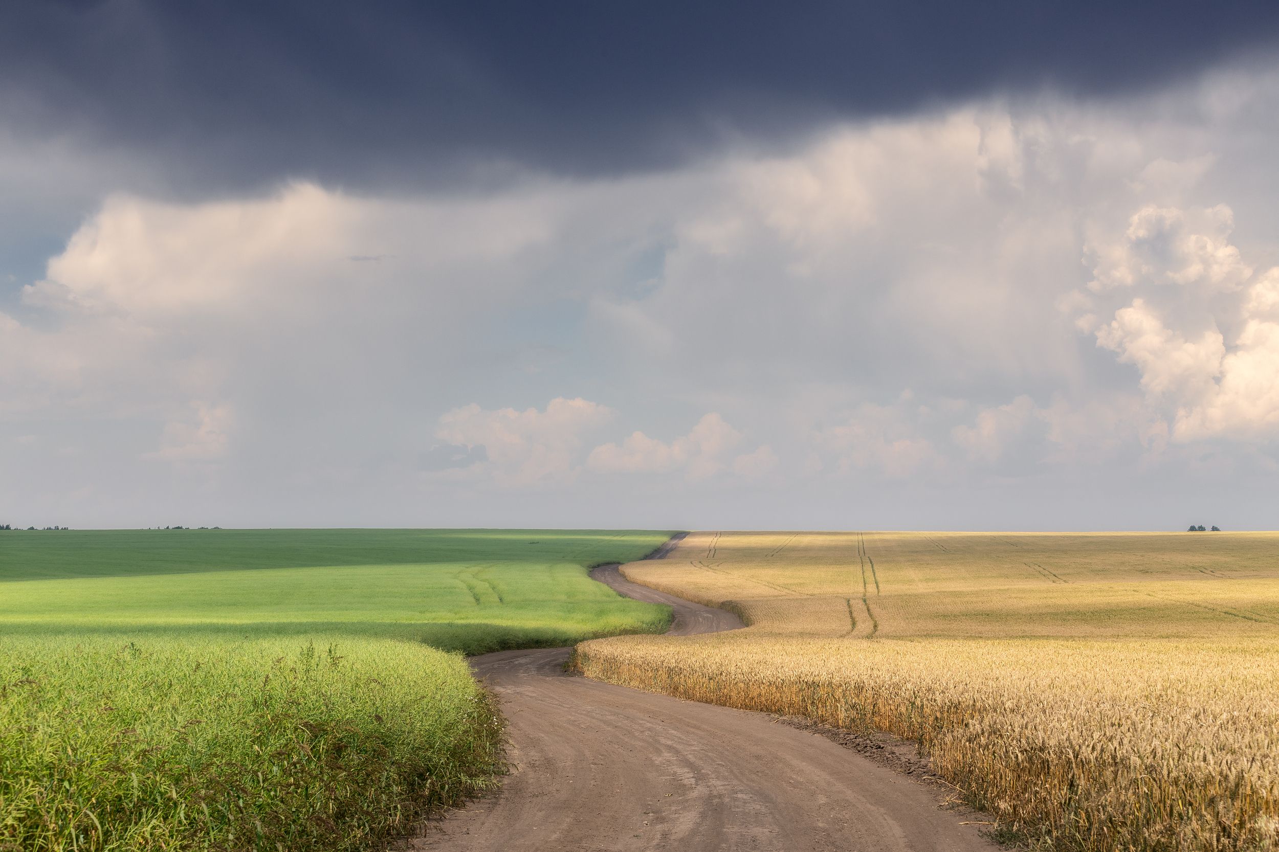 природа, поля, дороги, Тульская область, перед грозой, пейзаж, Мартыненко Дмитрий