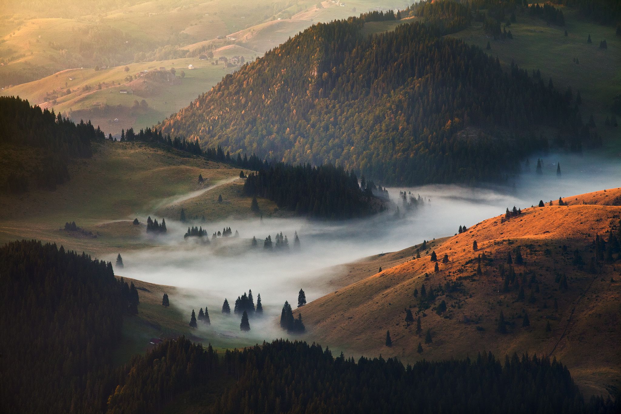Холмы туман. Карпаты Румыния холмы туман. Румыния Карпаты Трансильвания. Горы в тумане. Румыния пейзажи.