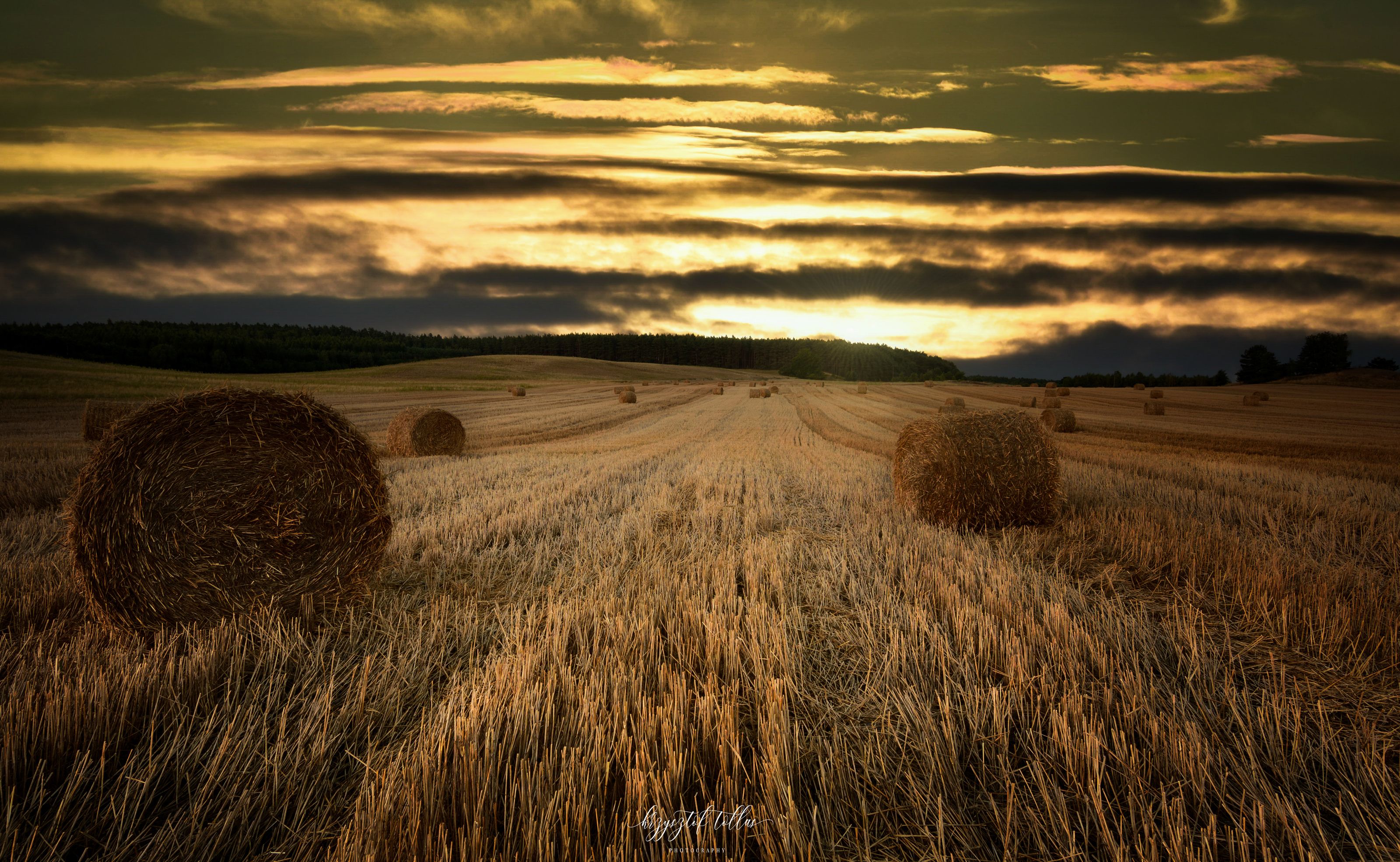 hay bales  landscape  field  agriculture  sky  sunset  clouds  light  Nikon D750  forest  No People  Landscape - Scenery  Nature  Agriculture, Krzysztof Tollas