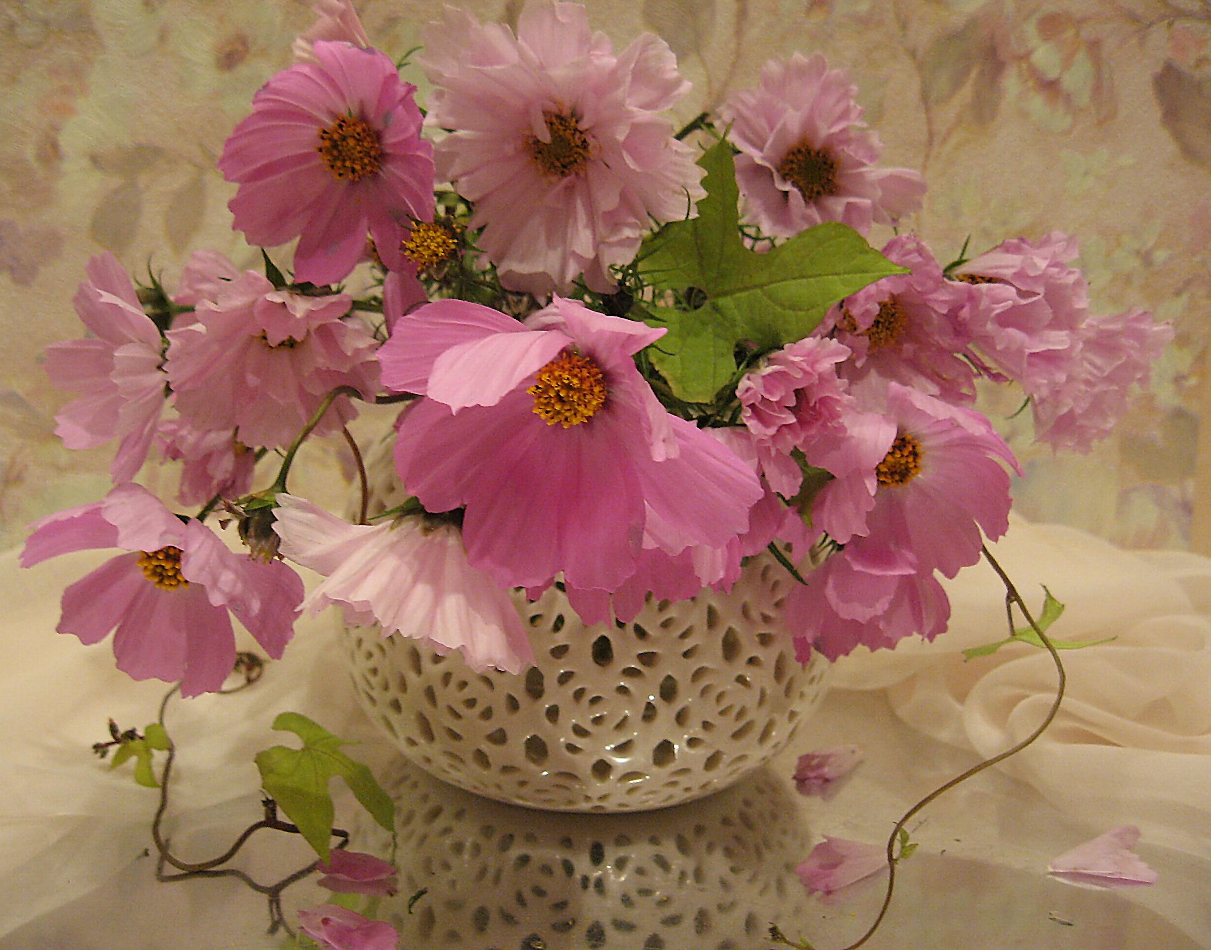 цветы, букет, космея, розовый цвет, Наталия Тихомирова