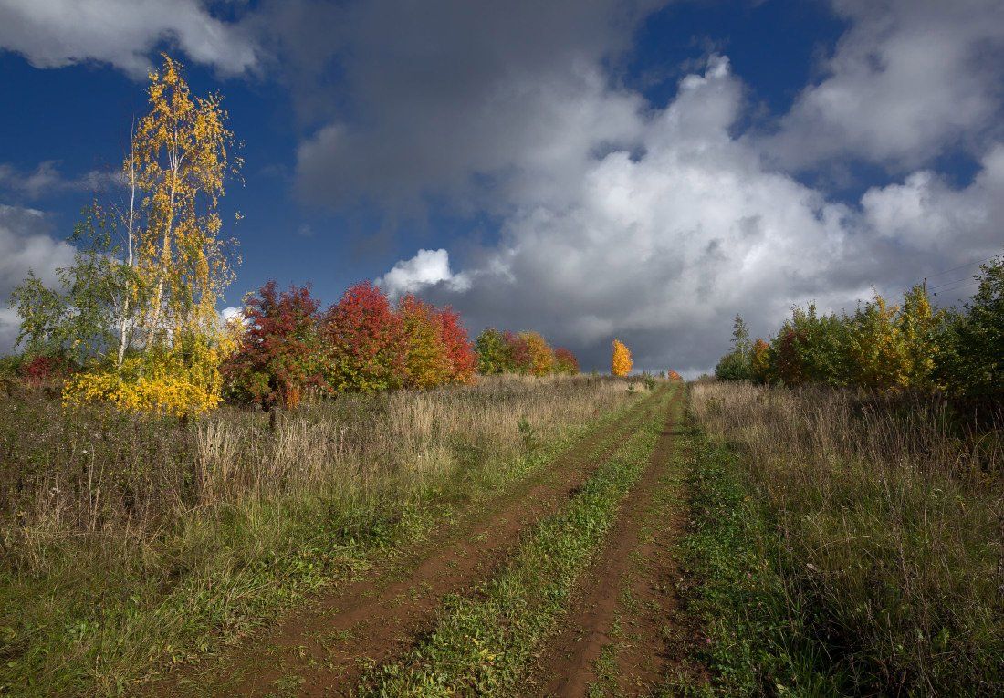 дорога, колея, трава, деревья, краски, облака, осень, Георгий Машковцев