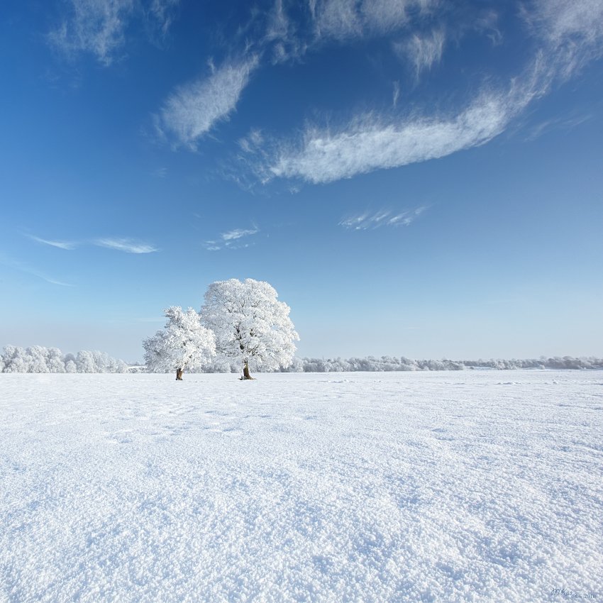 Cold, Colors, Frost, Sky, Snow, Trees, Winter, Marius Kasteckas