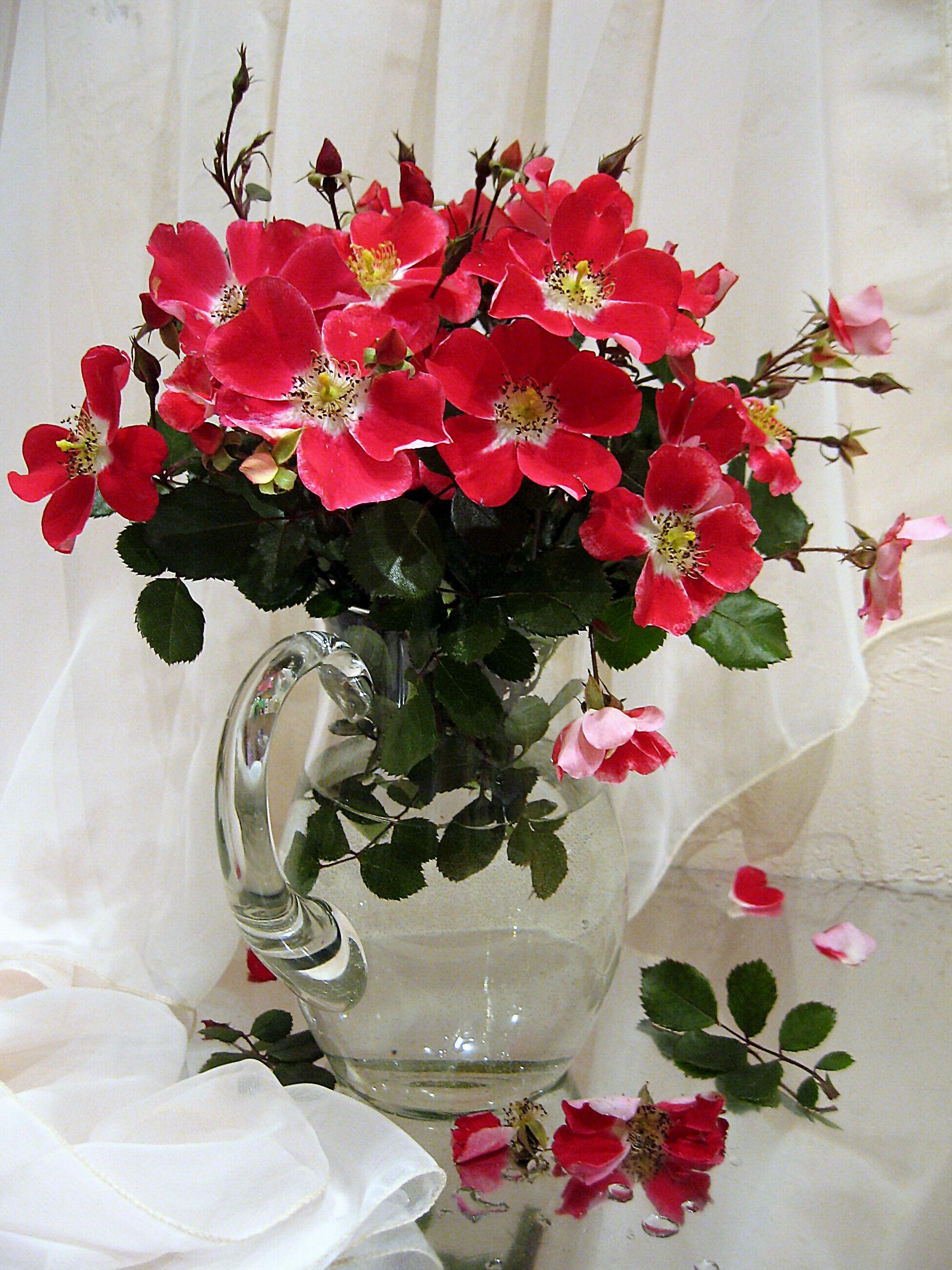 цветы, букет, розы, красный цвет, Наталия Тихомирова