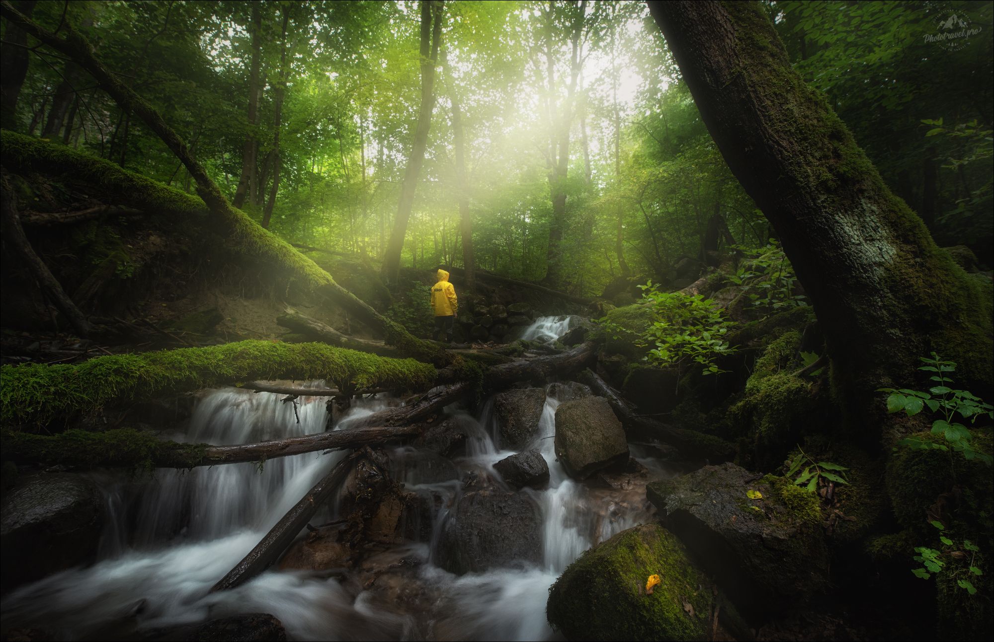 псков, печоры, изборск, изборско-мальская долина, elf, elven forest, мельничная балка, мельничный ручей, сходница, Влад Соколовский