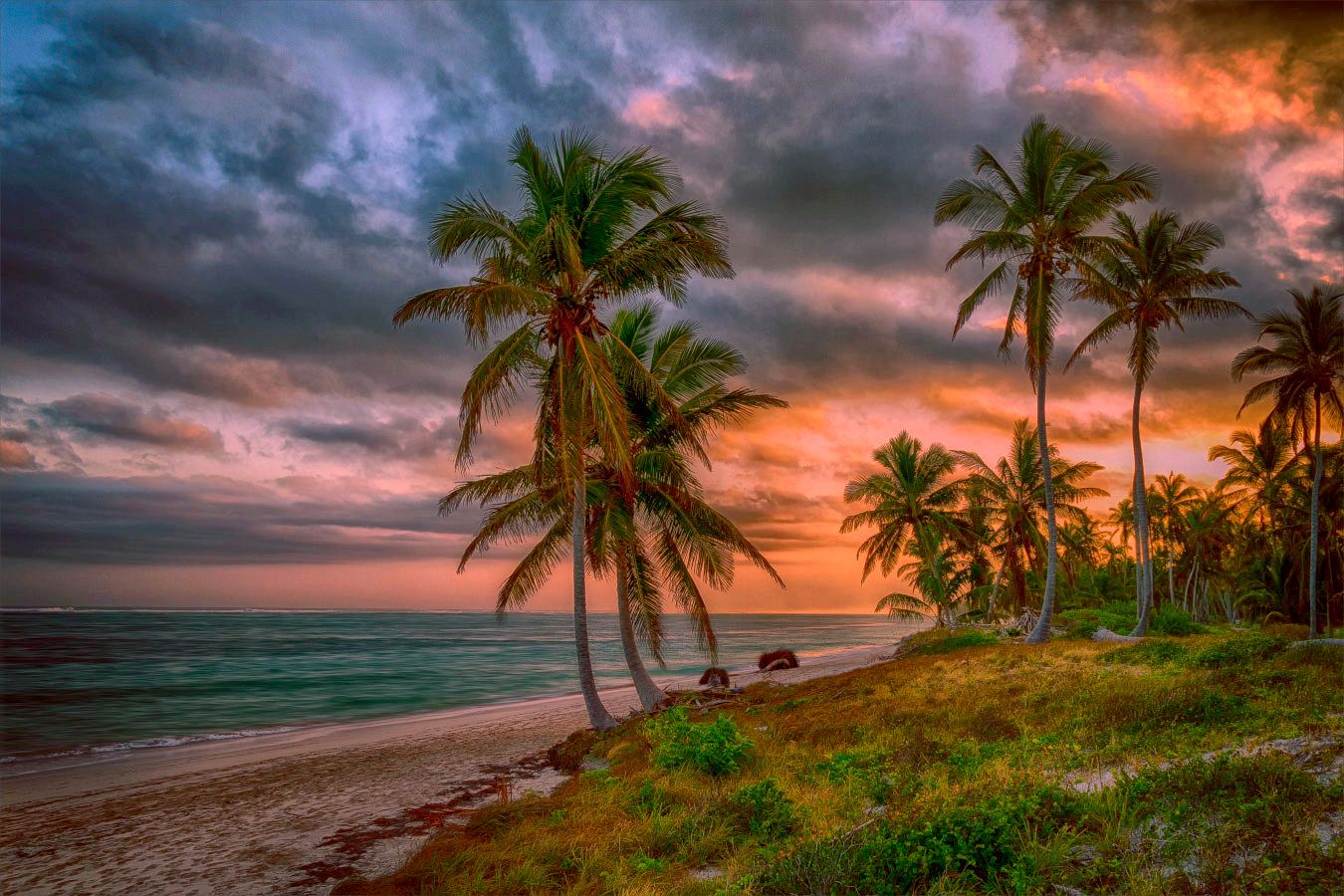 пейзаж таинственный берег закат пальмы море, Александр Гусаков
