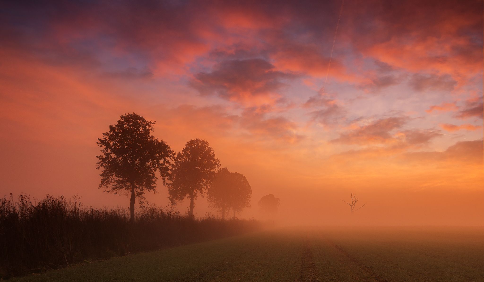 sunrise, fields, morning, mist, tree, abadoned, old, clouds, red, sky, Lukasz Zugaj