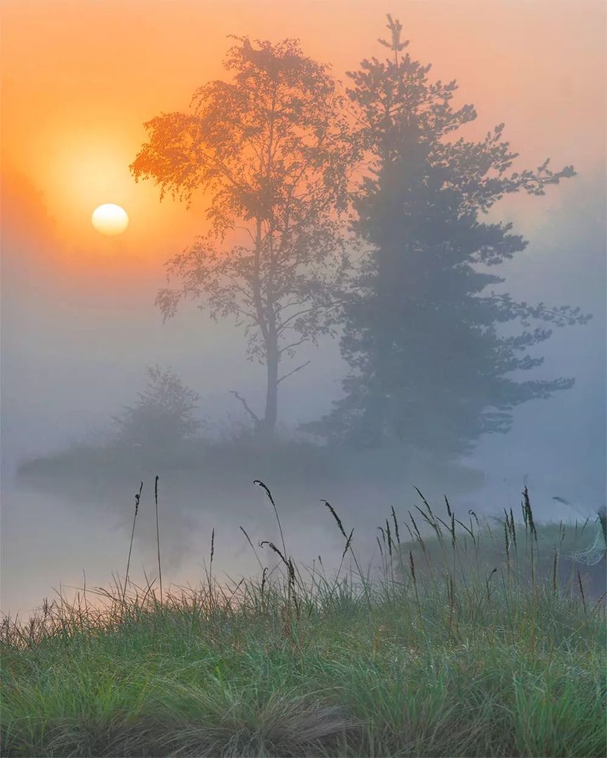 утро, туман, остров, рассвет, Петр Косых