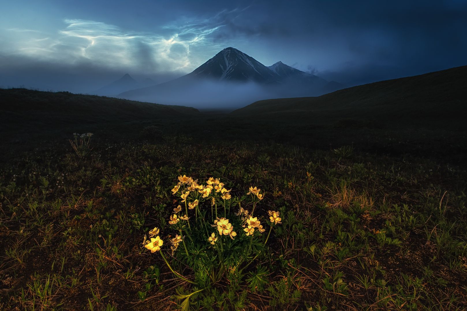 серебристые облака, silvery clouds, night, kamchatka, flowers, night photography, Алексей Юницын