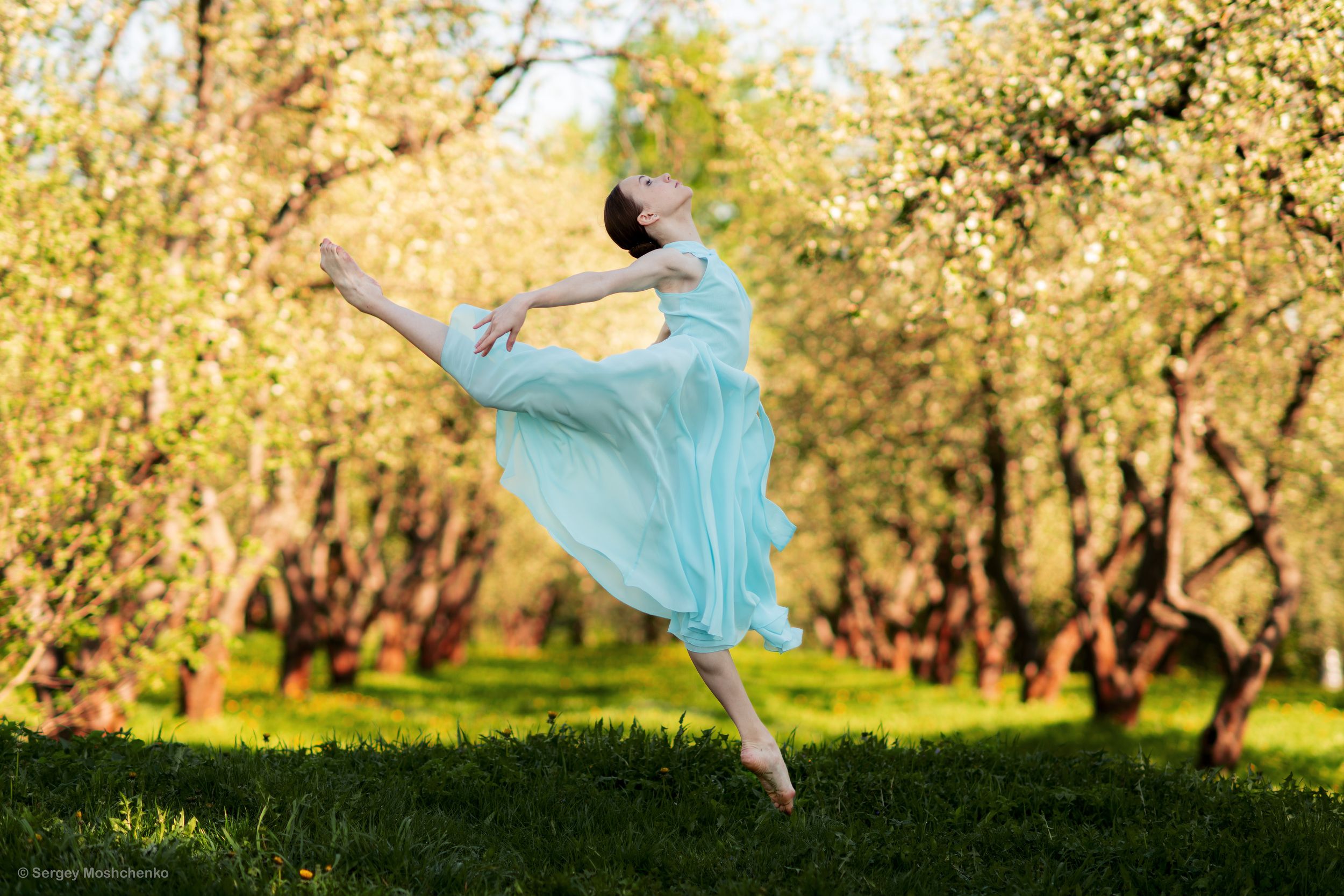 балет, Мощенко Сергей