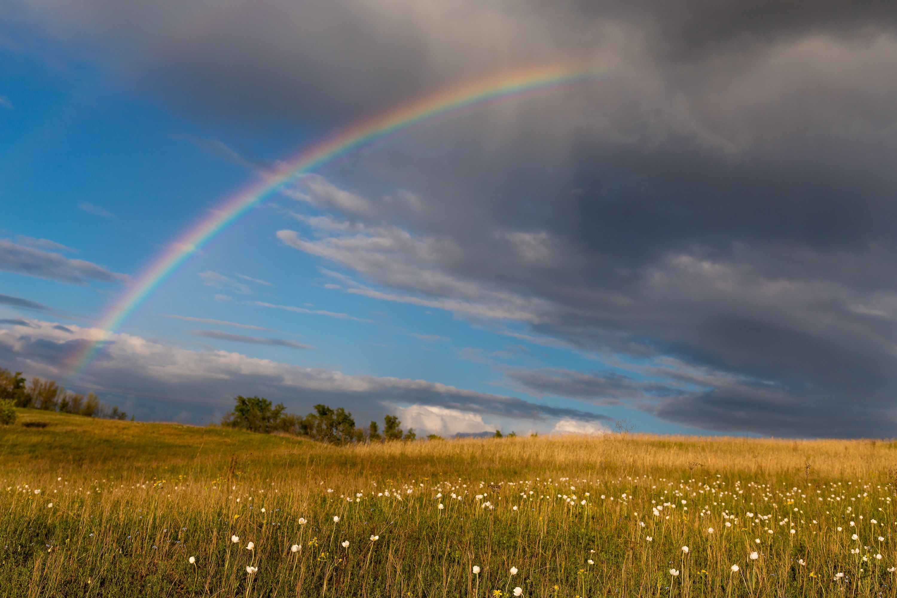 пейзаж, весна, облака, landscape, степь, дождь, радуга, rainbow, Алексей Юденков