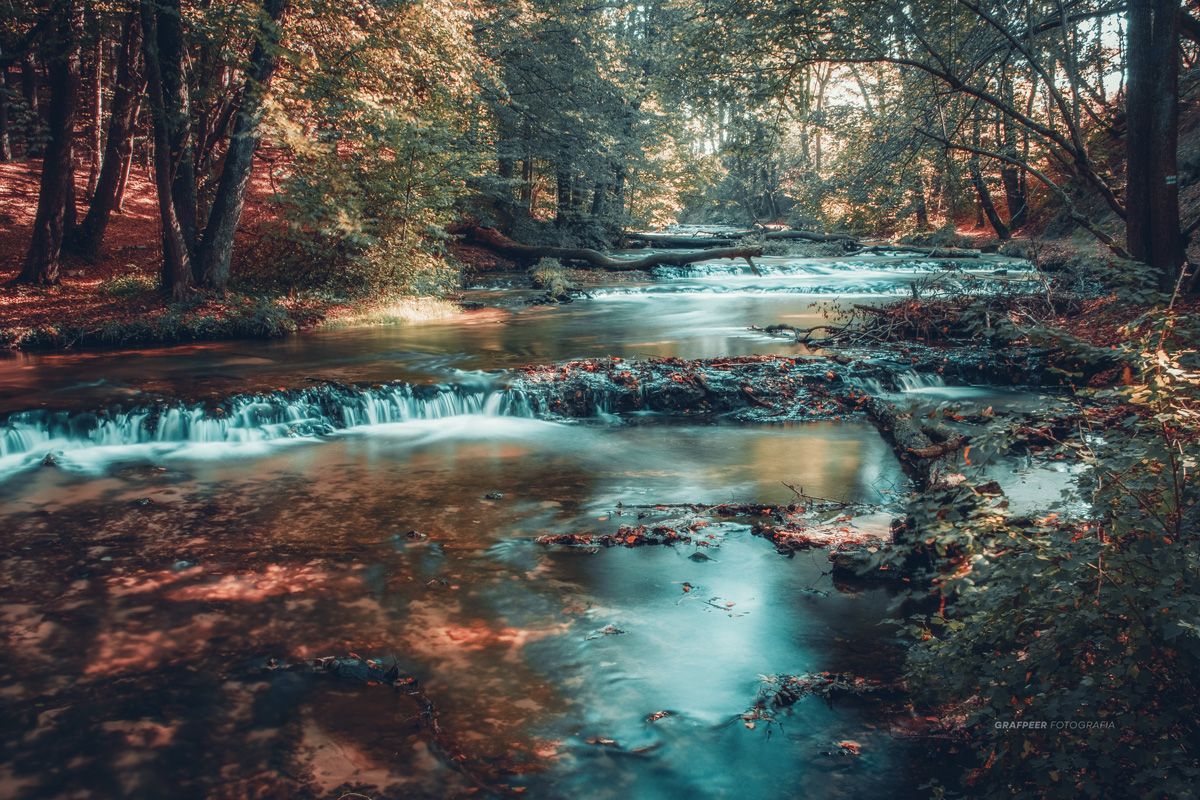 river, nature, reserve, water, forest, scenery, rpowroznik, Robert Powroznik