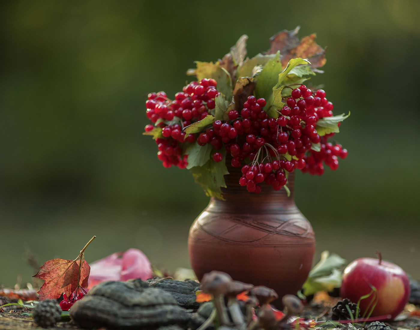 осень, натюрморт,ягоды, калина,листья,яблоко, stilllife, autumn, berry,kalina, foliage,apple, nature, Юлия Стукалова