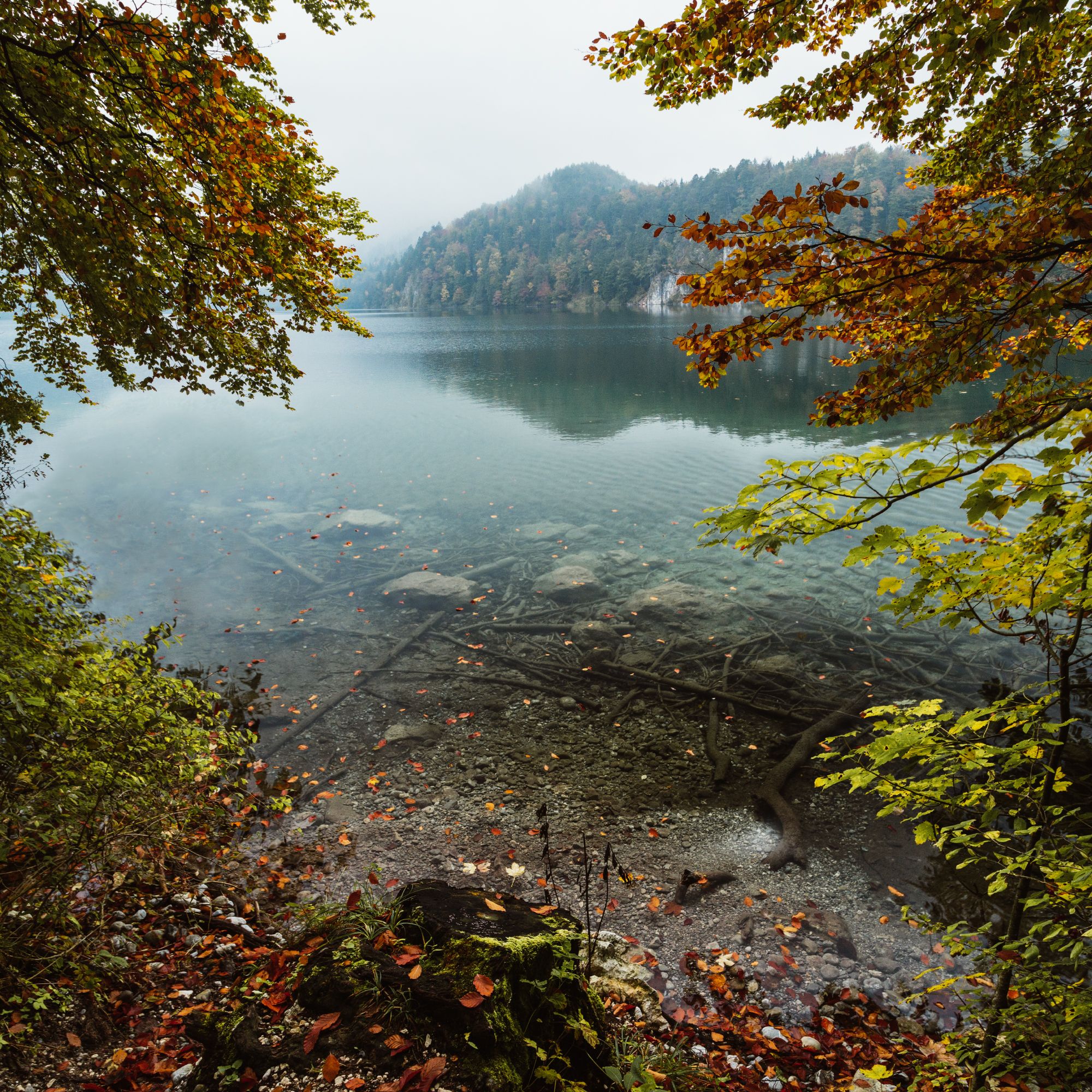 осень; озеро; лес; горы; германия, Александр Удовиченко