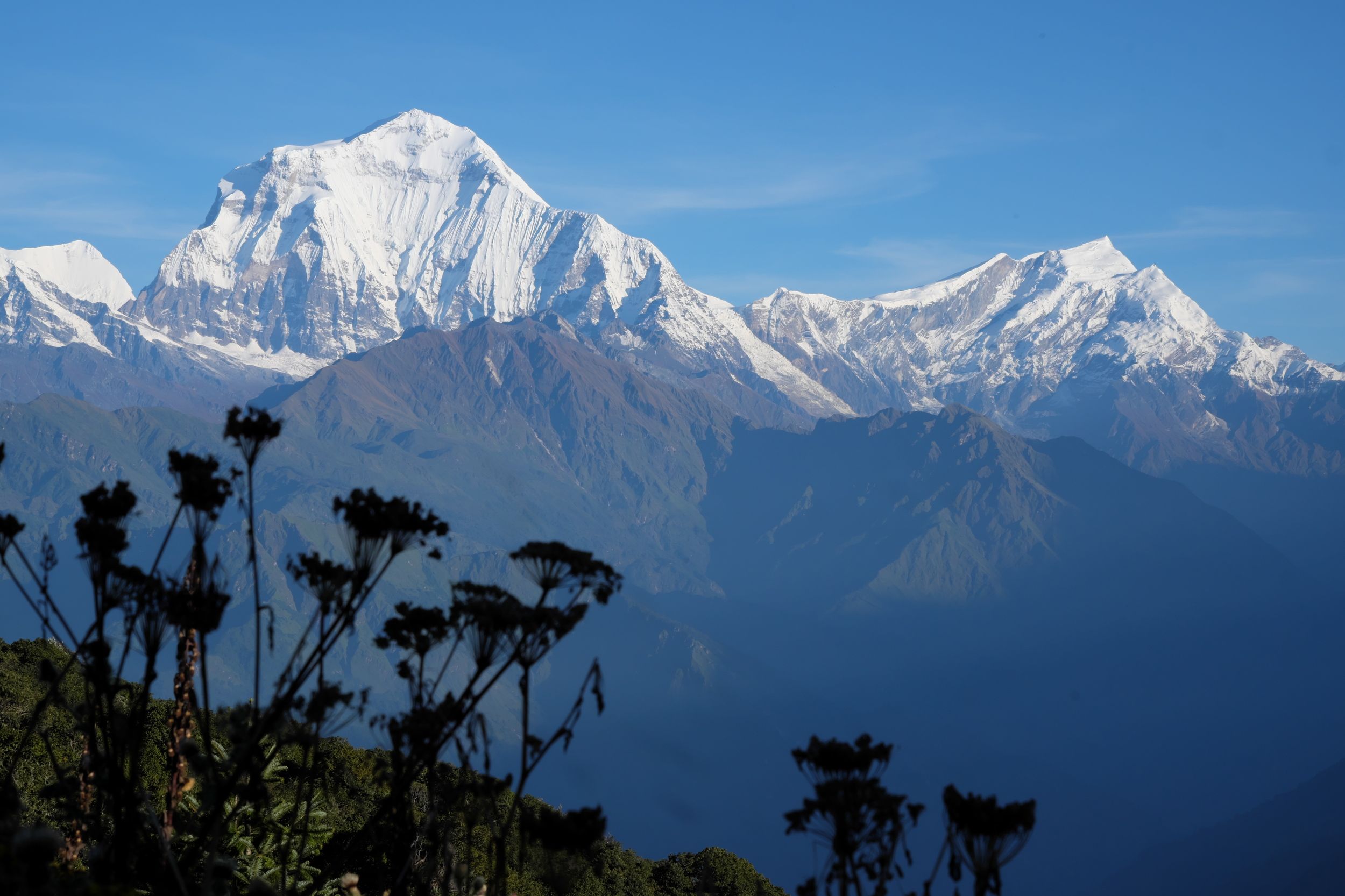 dhaulagiri, mountains, dawn, nepal, дхаулагири, рассвет, горы, непал, Serg Pechenizhskiy