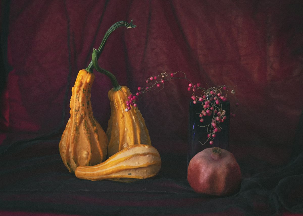 still life,fall,autum,pumpkin,color,light, mustafa yagci