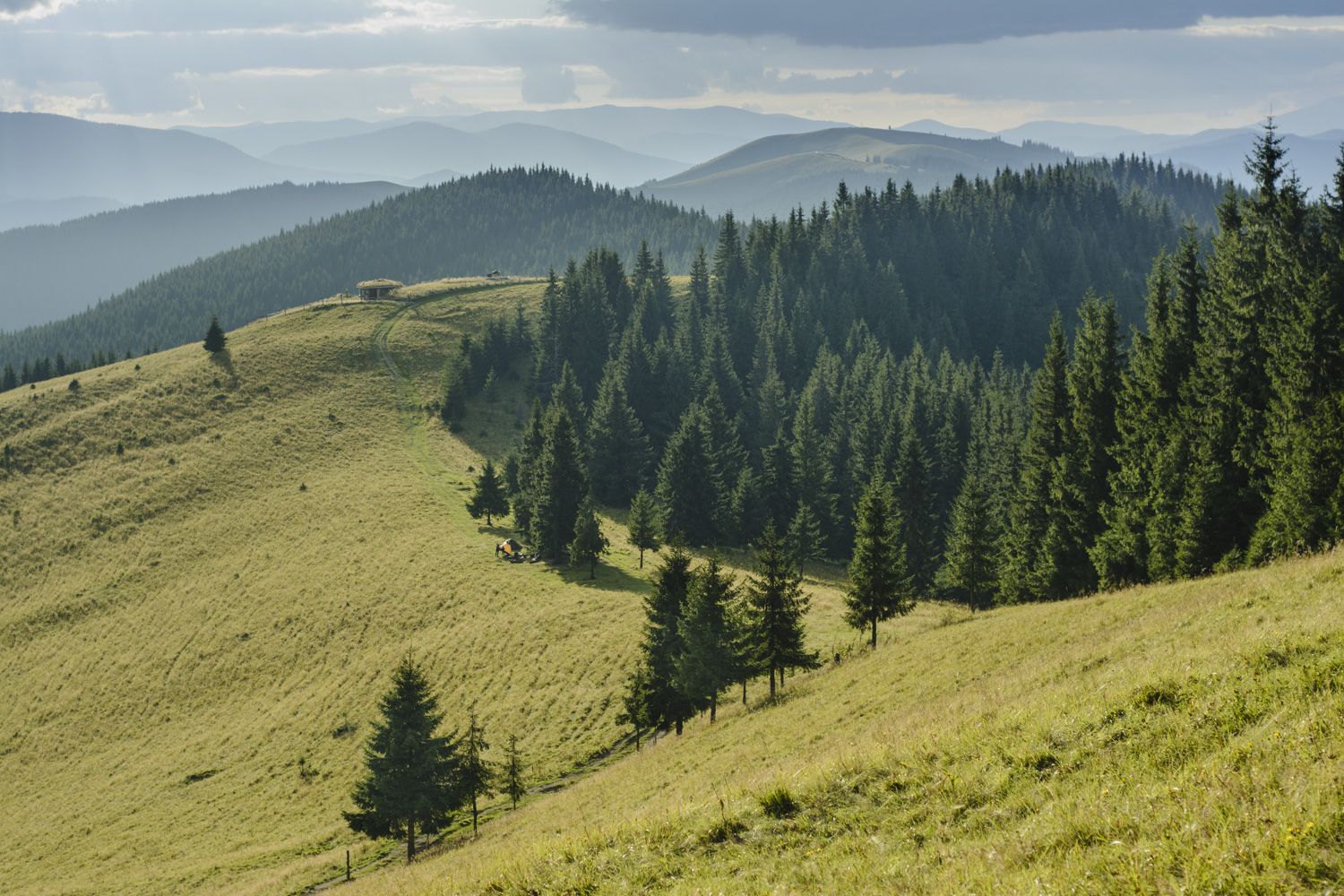 Карпаты, природа, Украина, горы, поле, пастбище, пейзаж, Piligrim